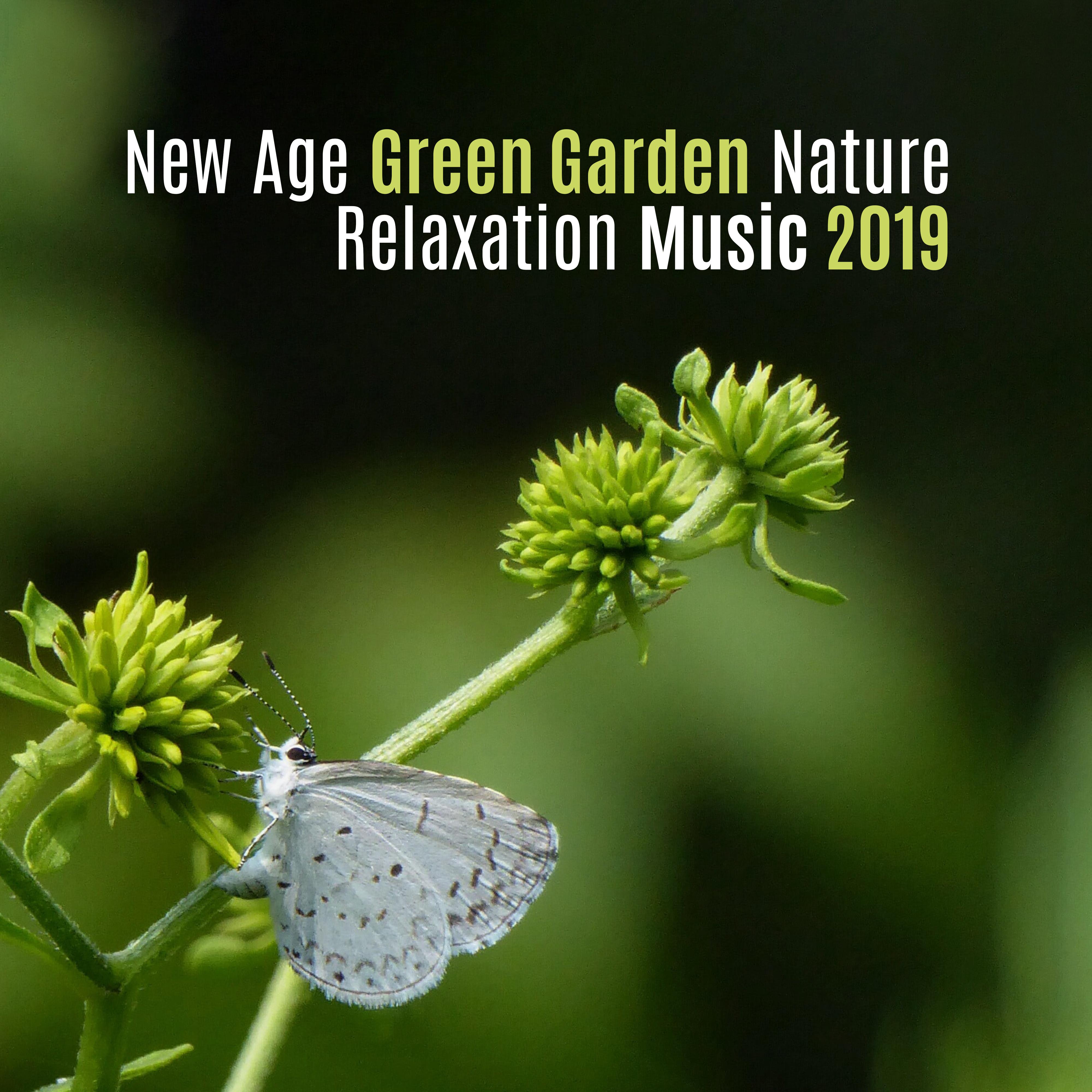 New Age Green Garden Nature Relaxation Music 2019