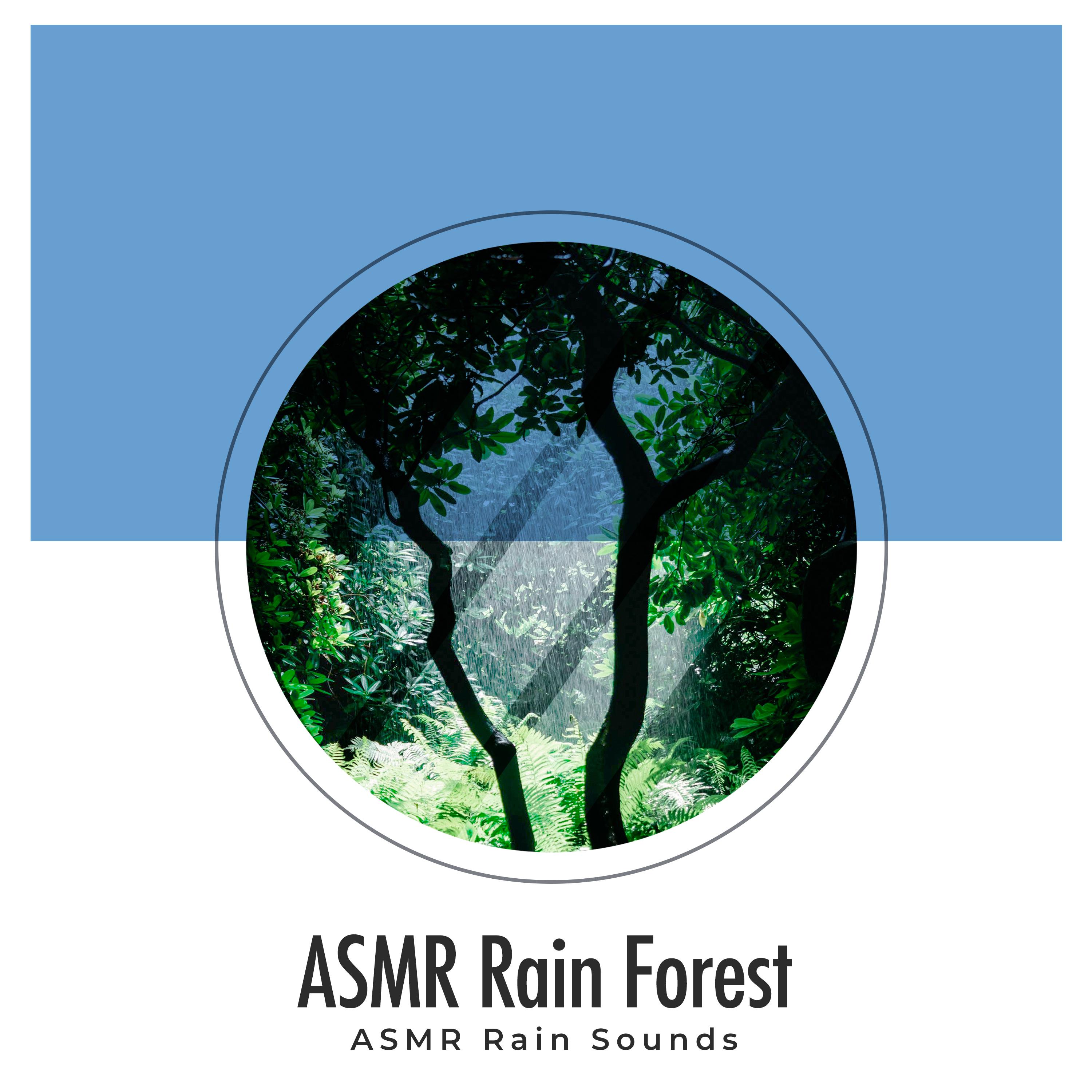 ASMR Rain Forest