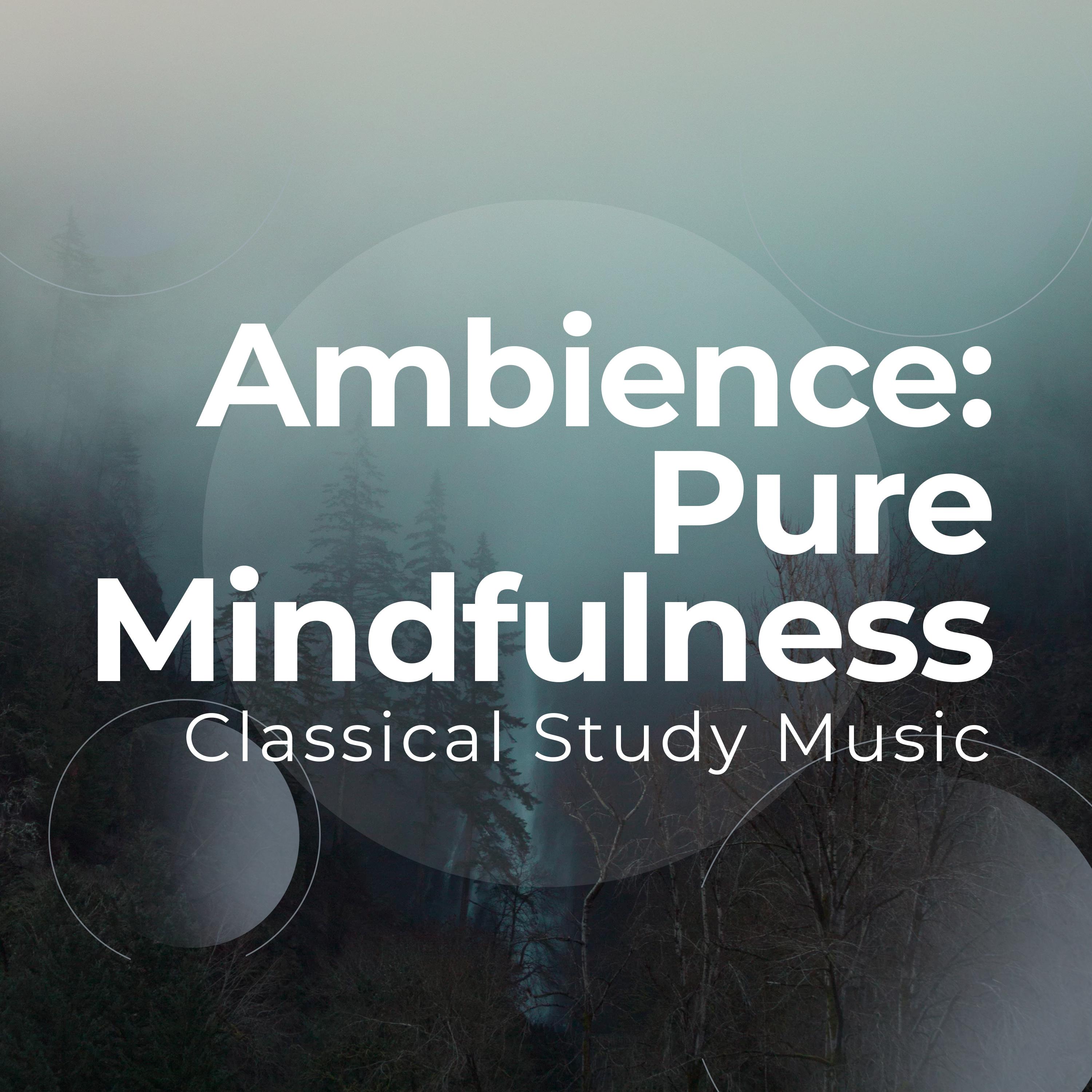 Ambience: Pure Mindfulness