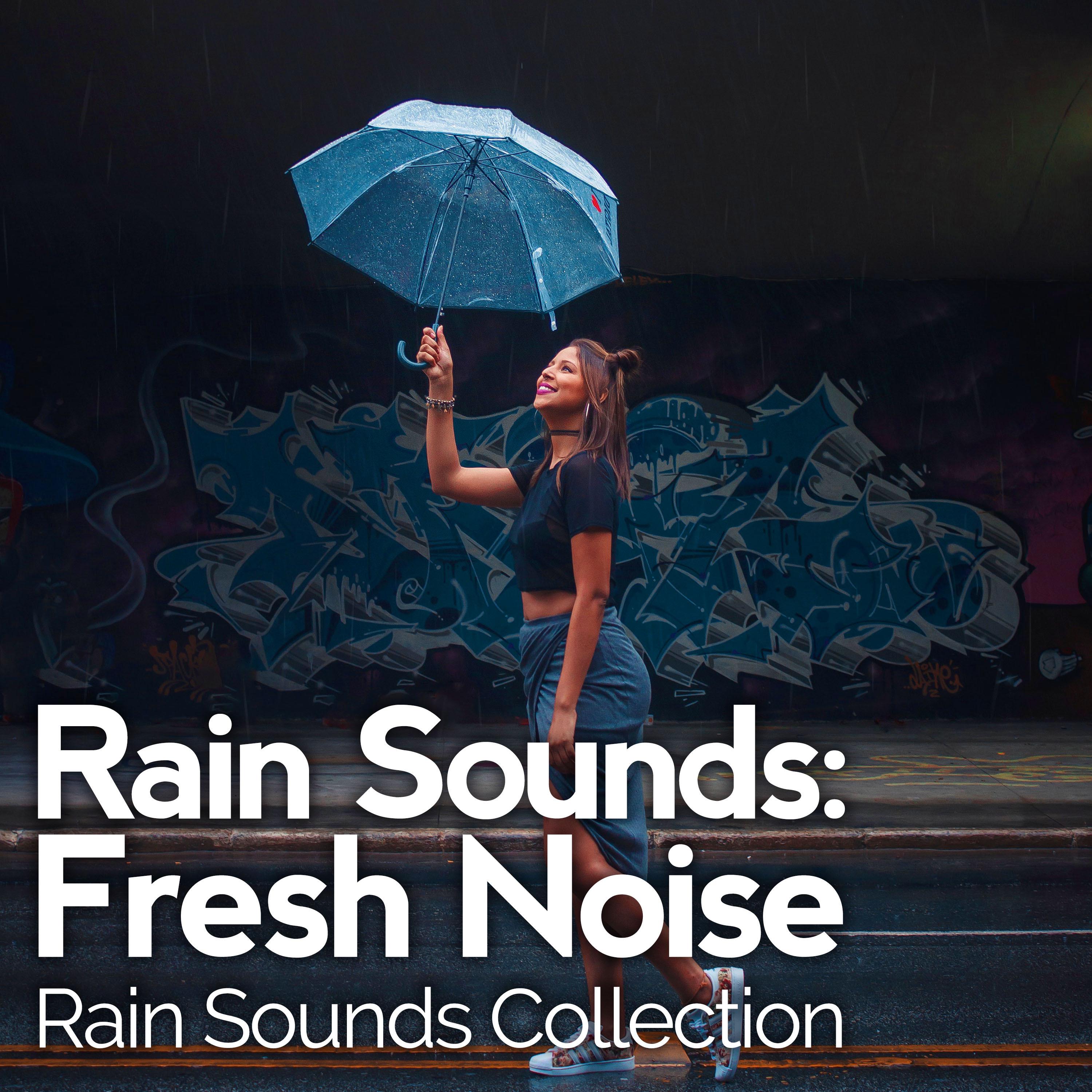 Rain Sounds: Fresh Noise