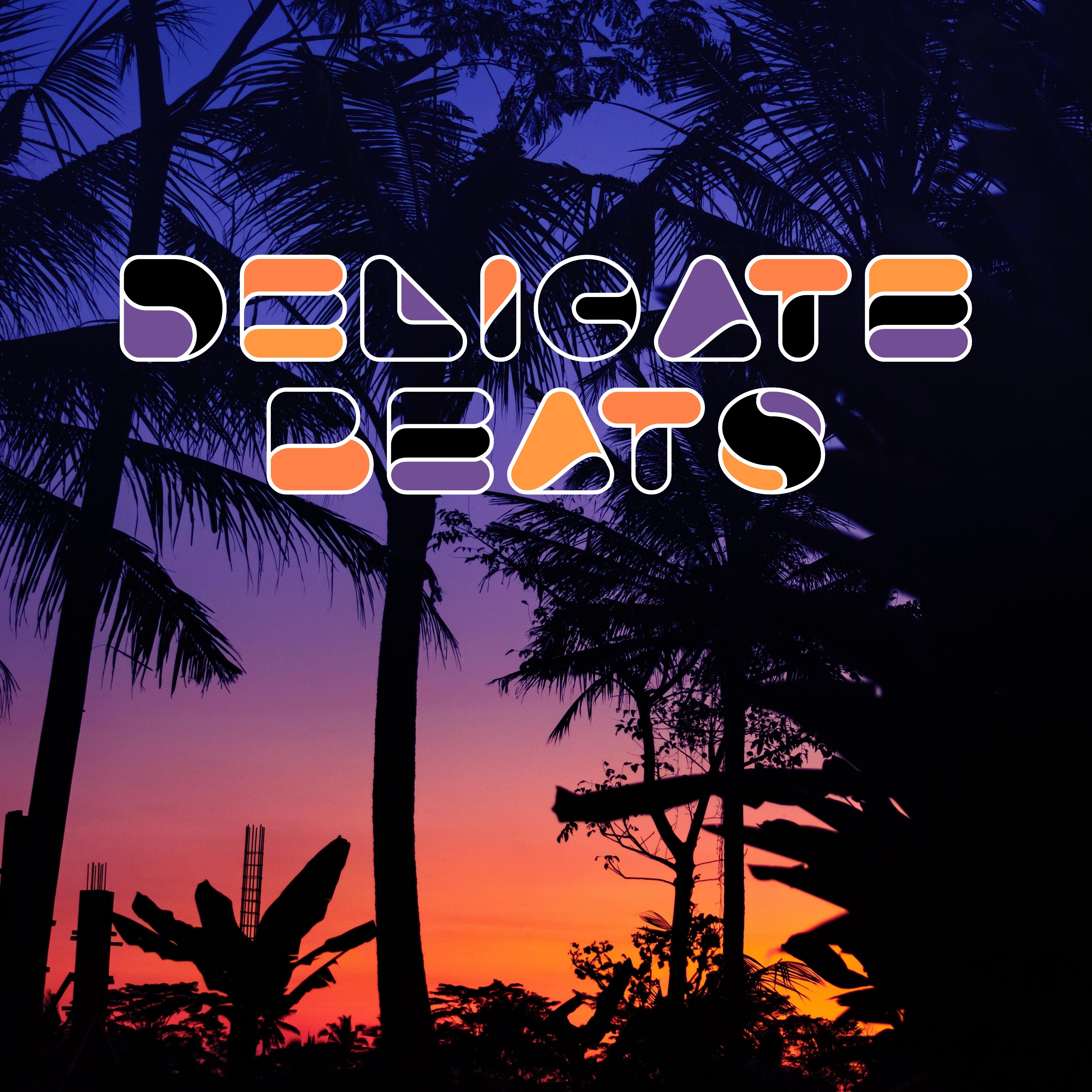 Delicate Beats: Pure Relax, Holiday Songs to Calm Down, Summer Chill, Perfect Relax Zone