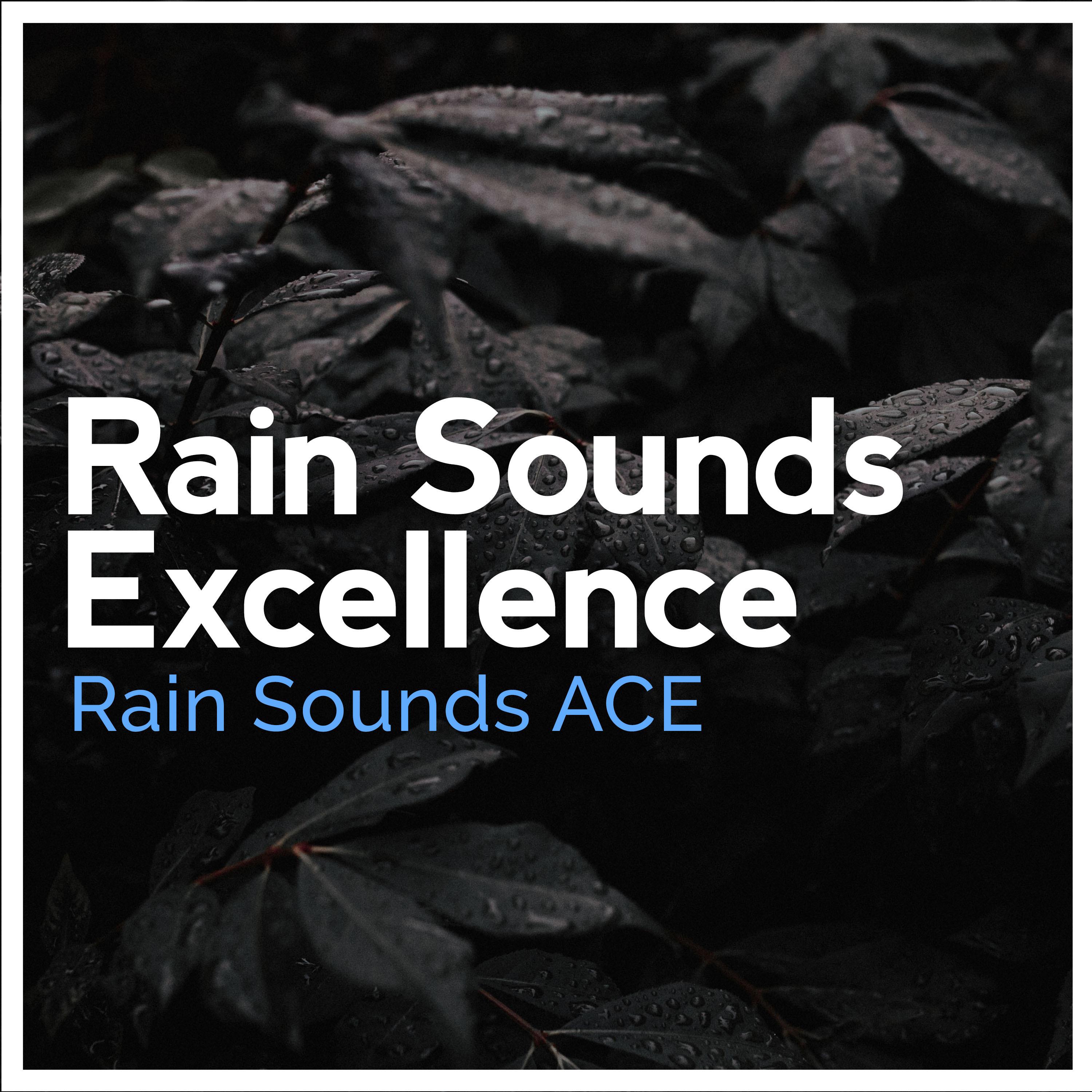 Rain Sounds Excellence