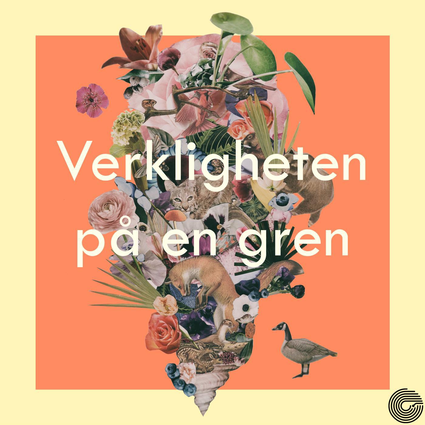 Verkligheten p en gren