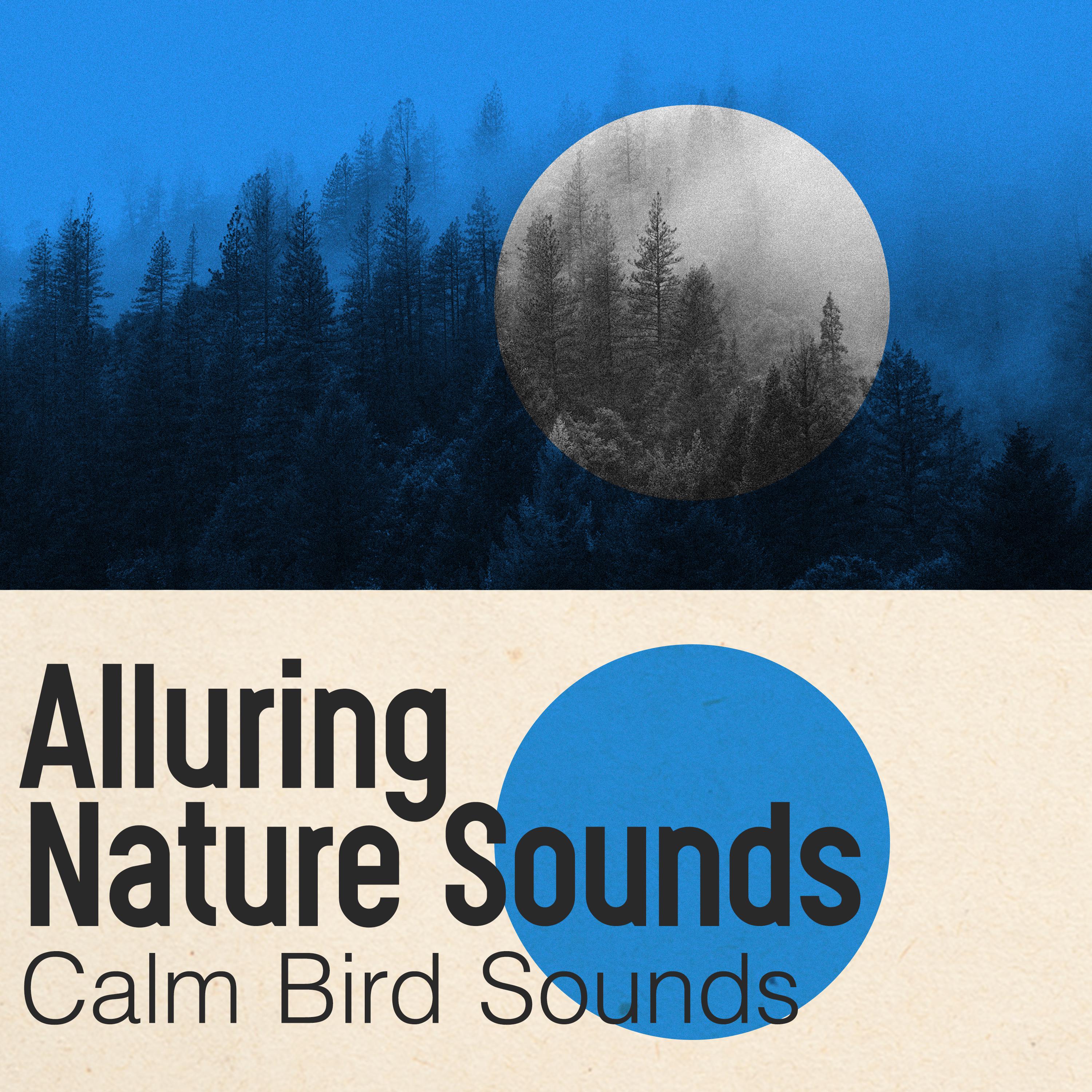 Alluring Nature Sounds