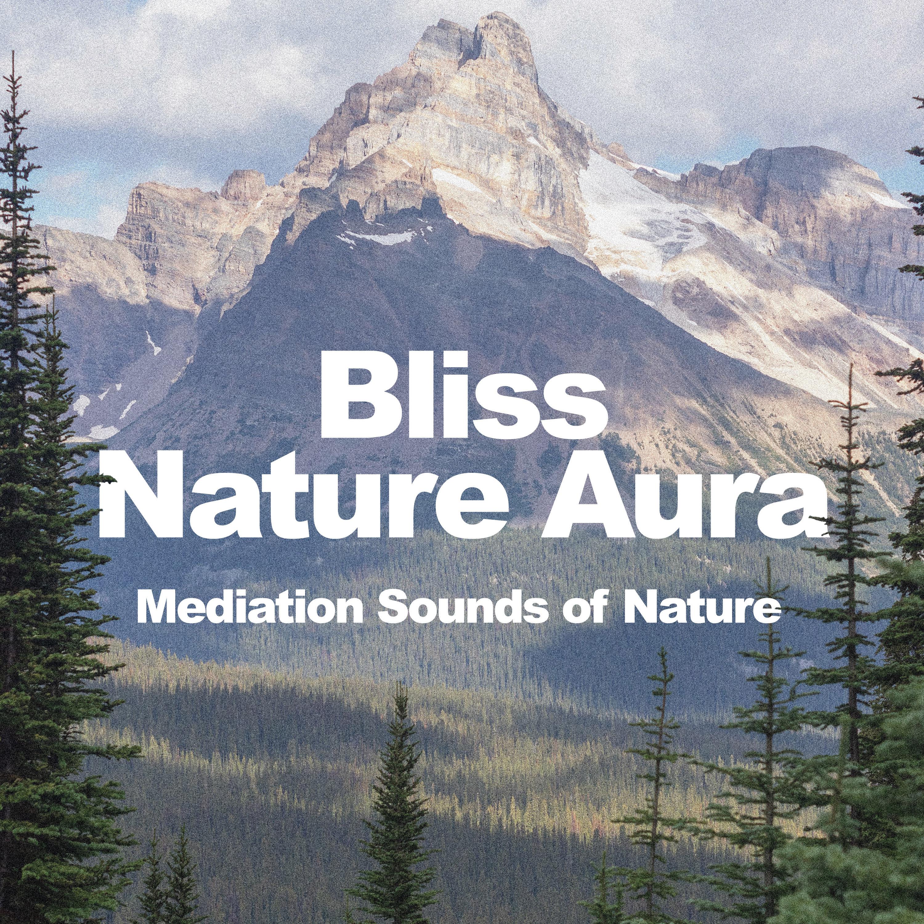 Bliss Nature Aura