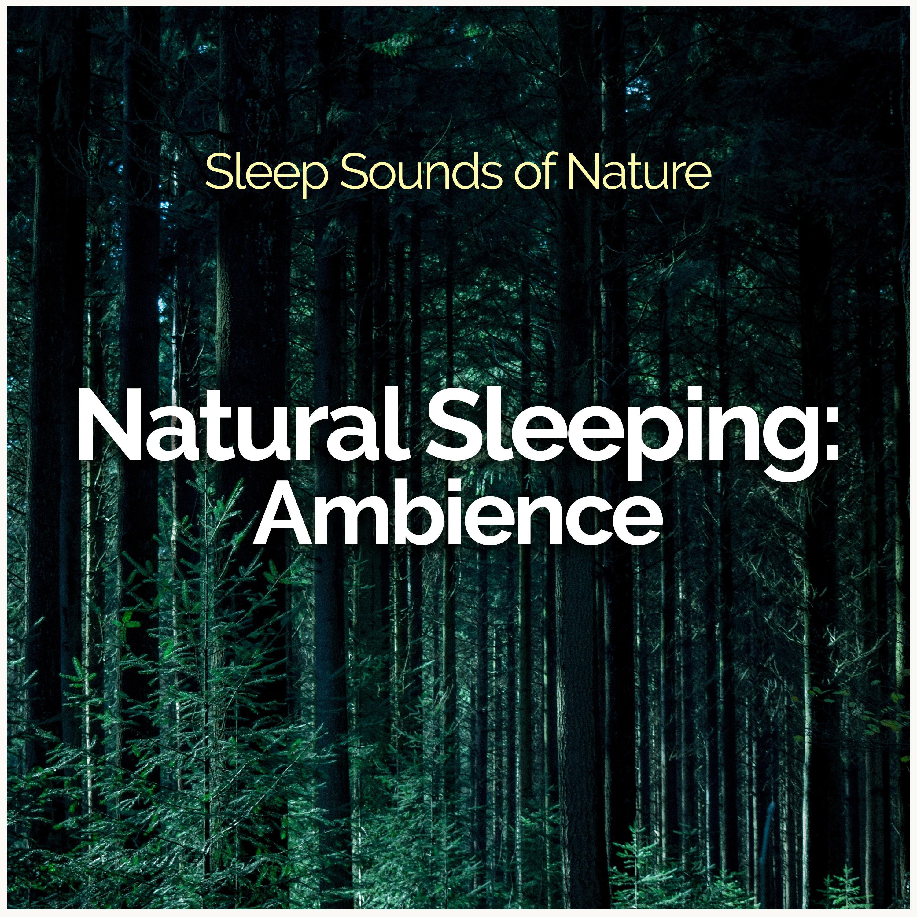 Natural Sleeping: Ambience