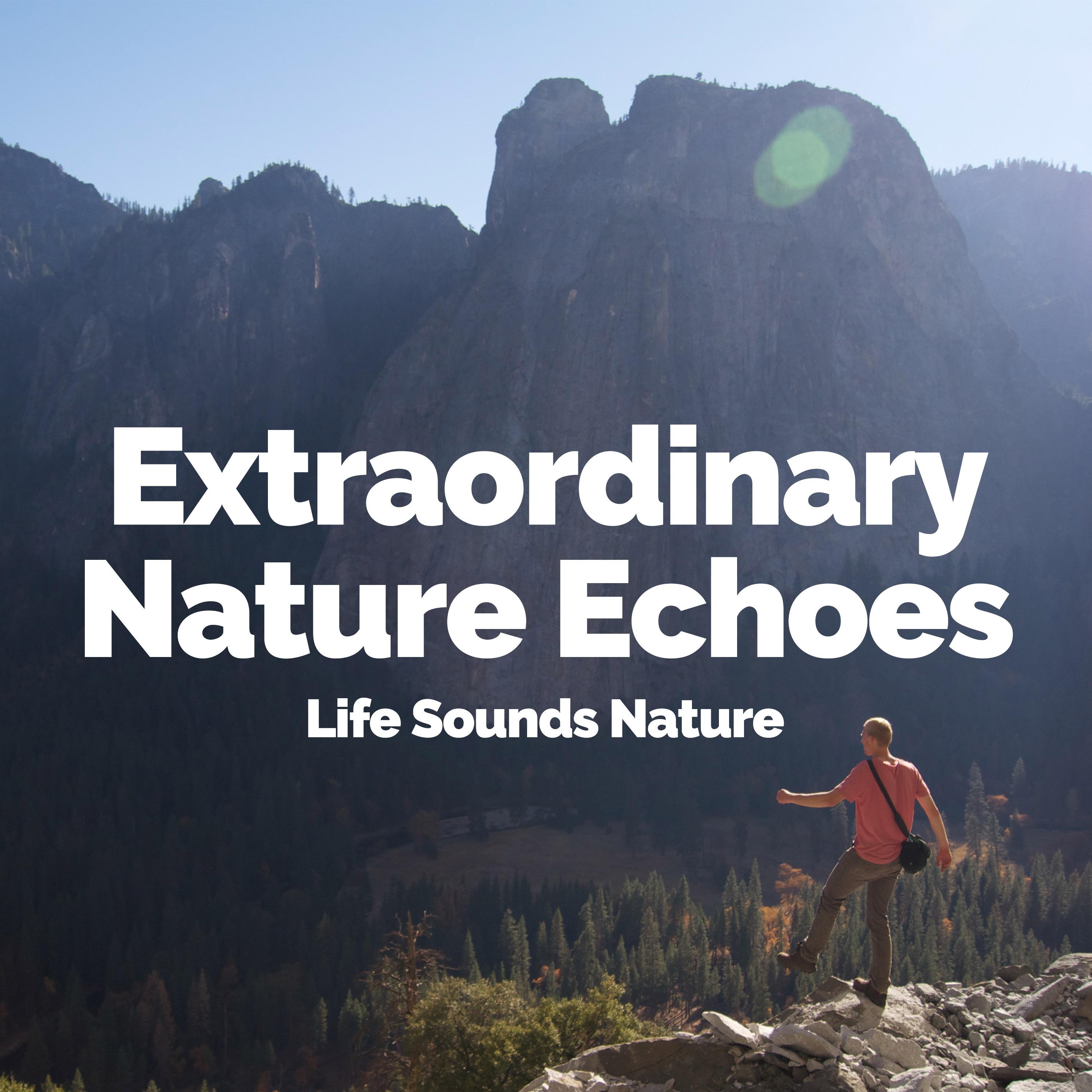 Extraordinary Nature Echoes