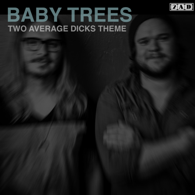 Two Average Dicks Theme