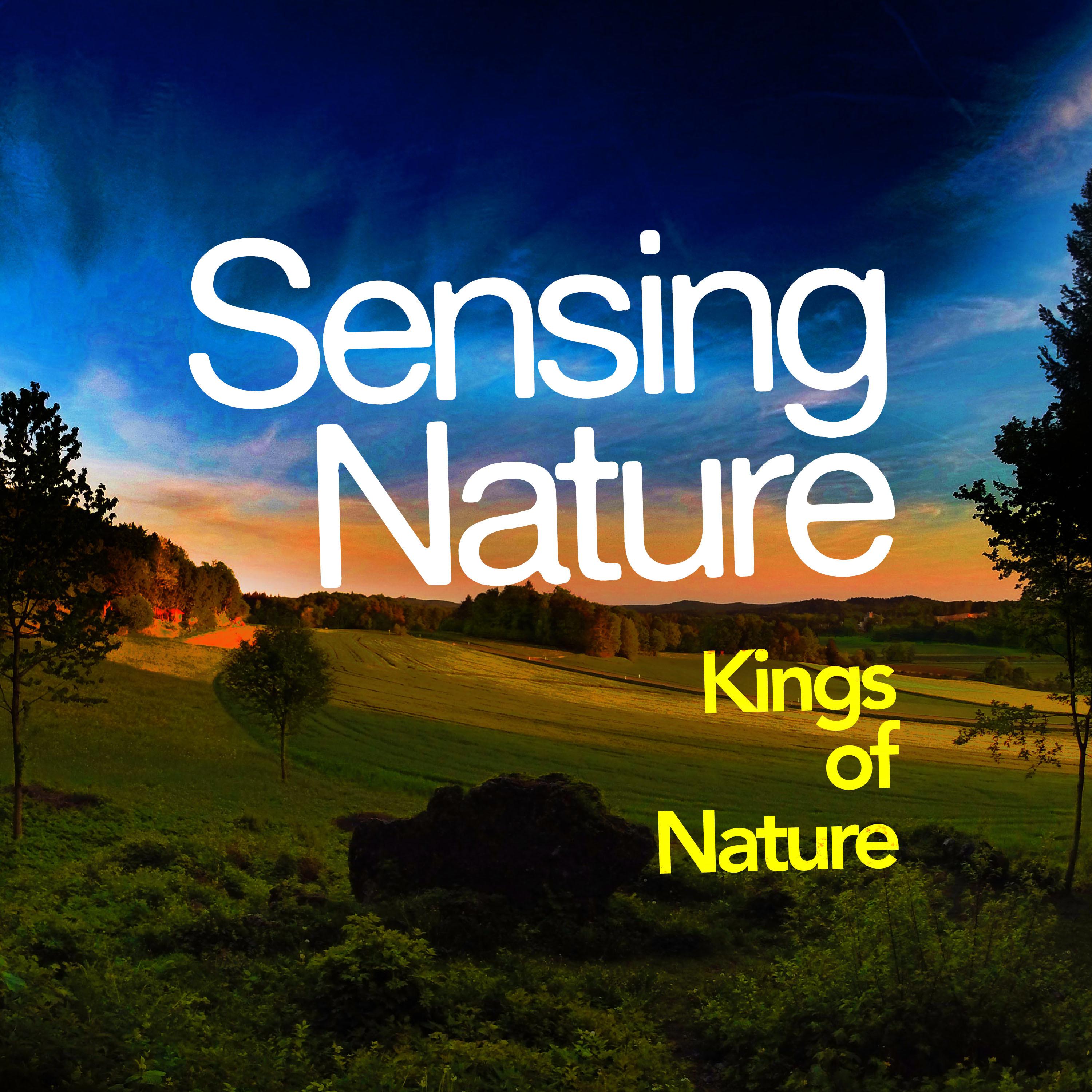 Sensing Nature