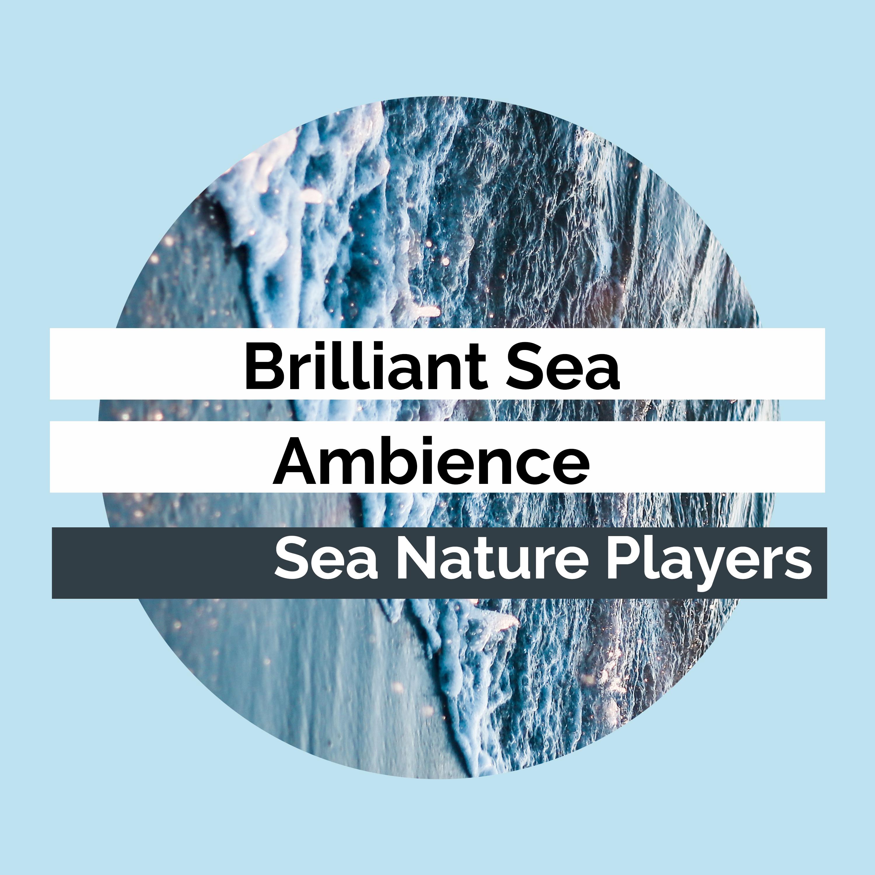 Brilliant Sea Ambience