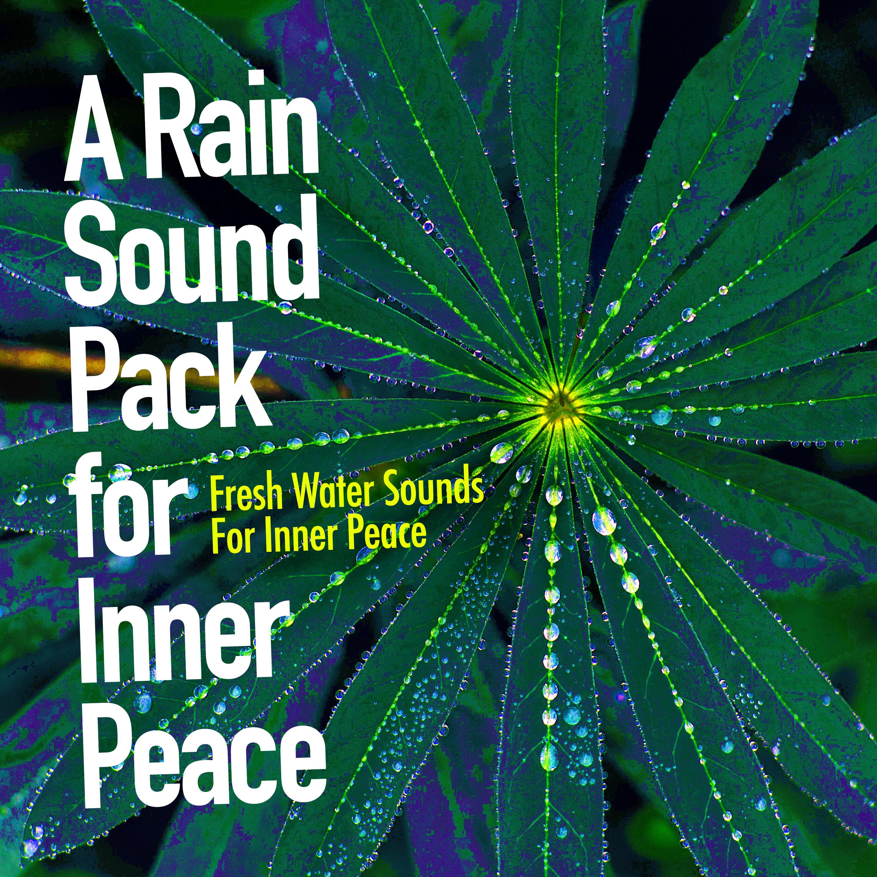 A Rain Sound Pack for Inner Peace