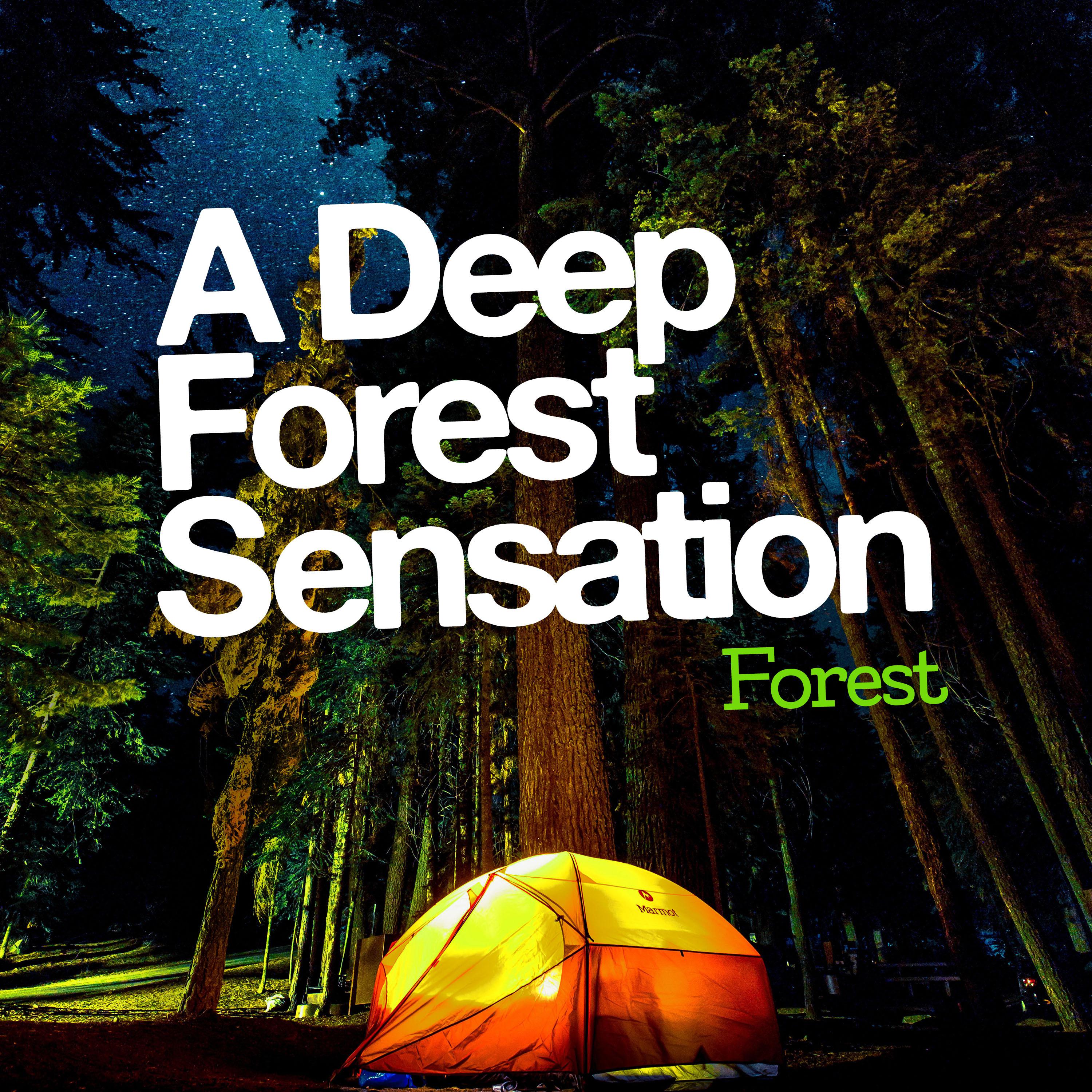 A Deep Forest Sensation