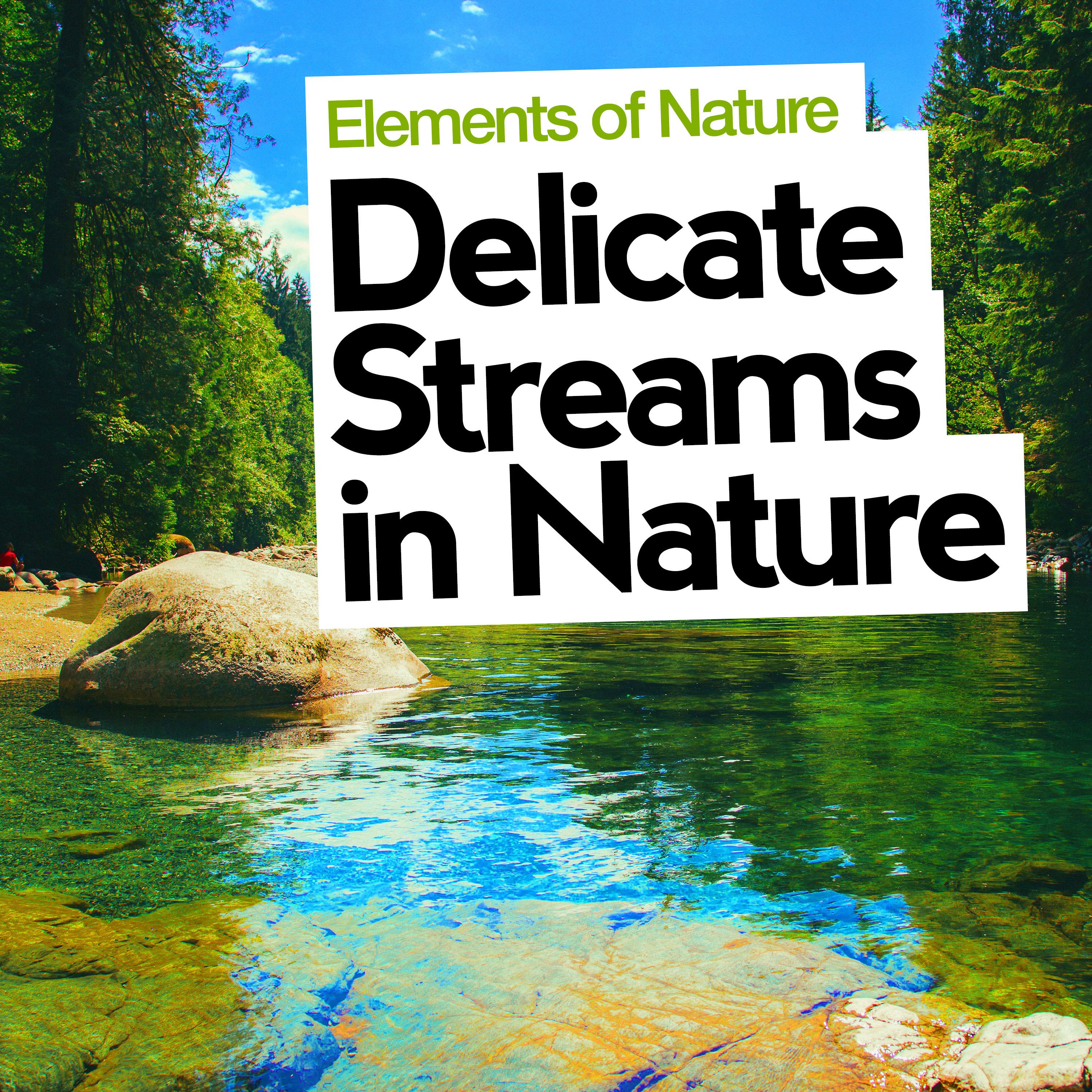 Delicate Streams in Nature