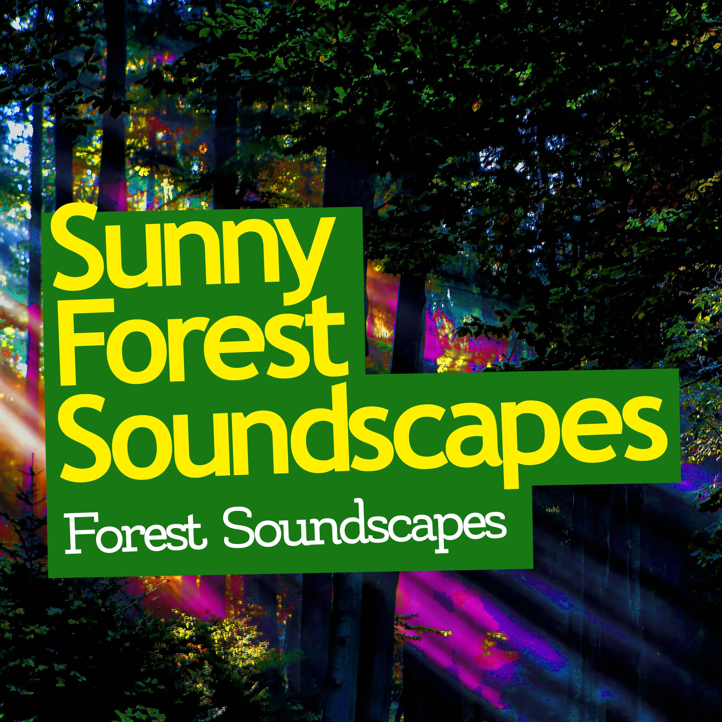 Sunny Forest Soundscapes