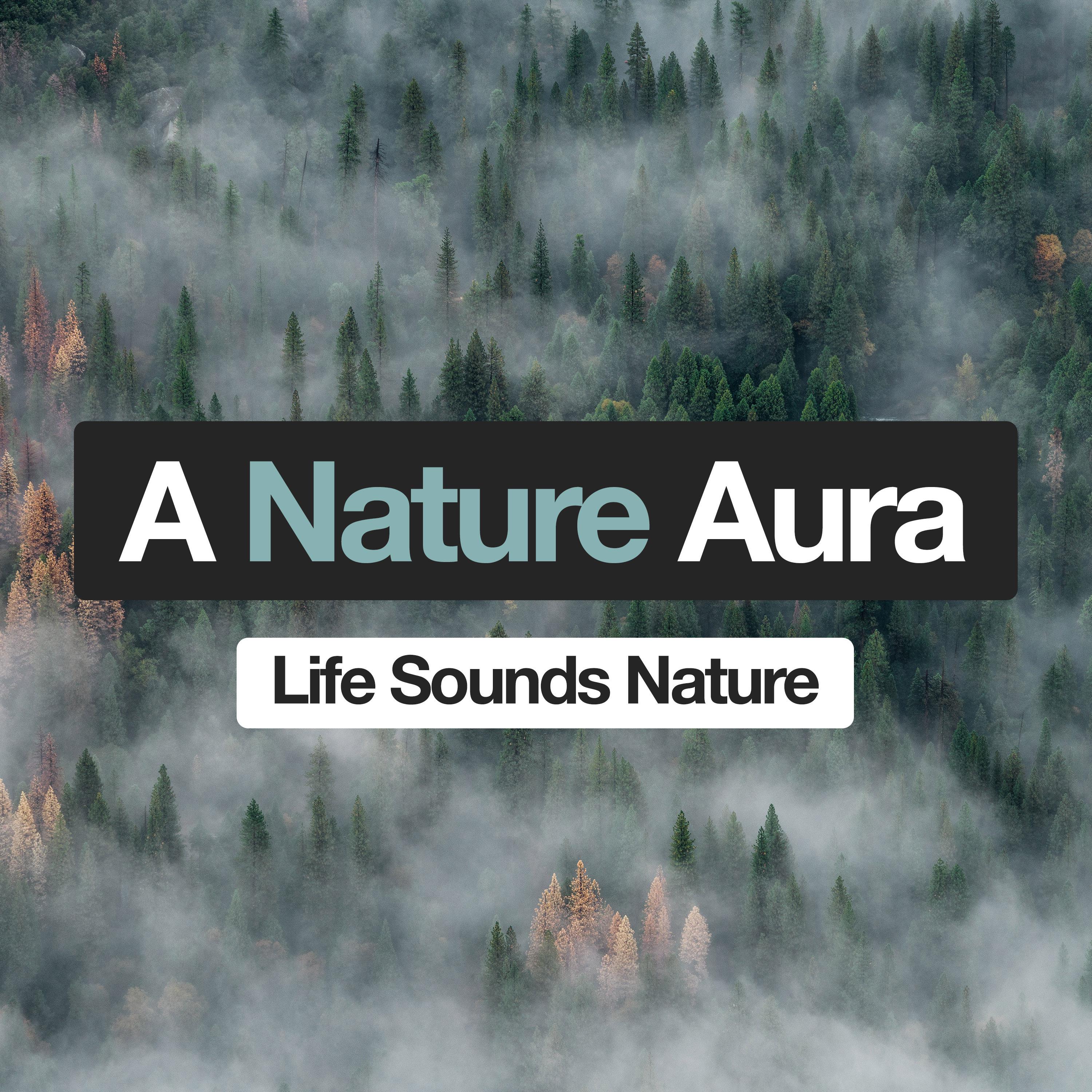 A Nature Aura