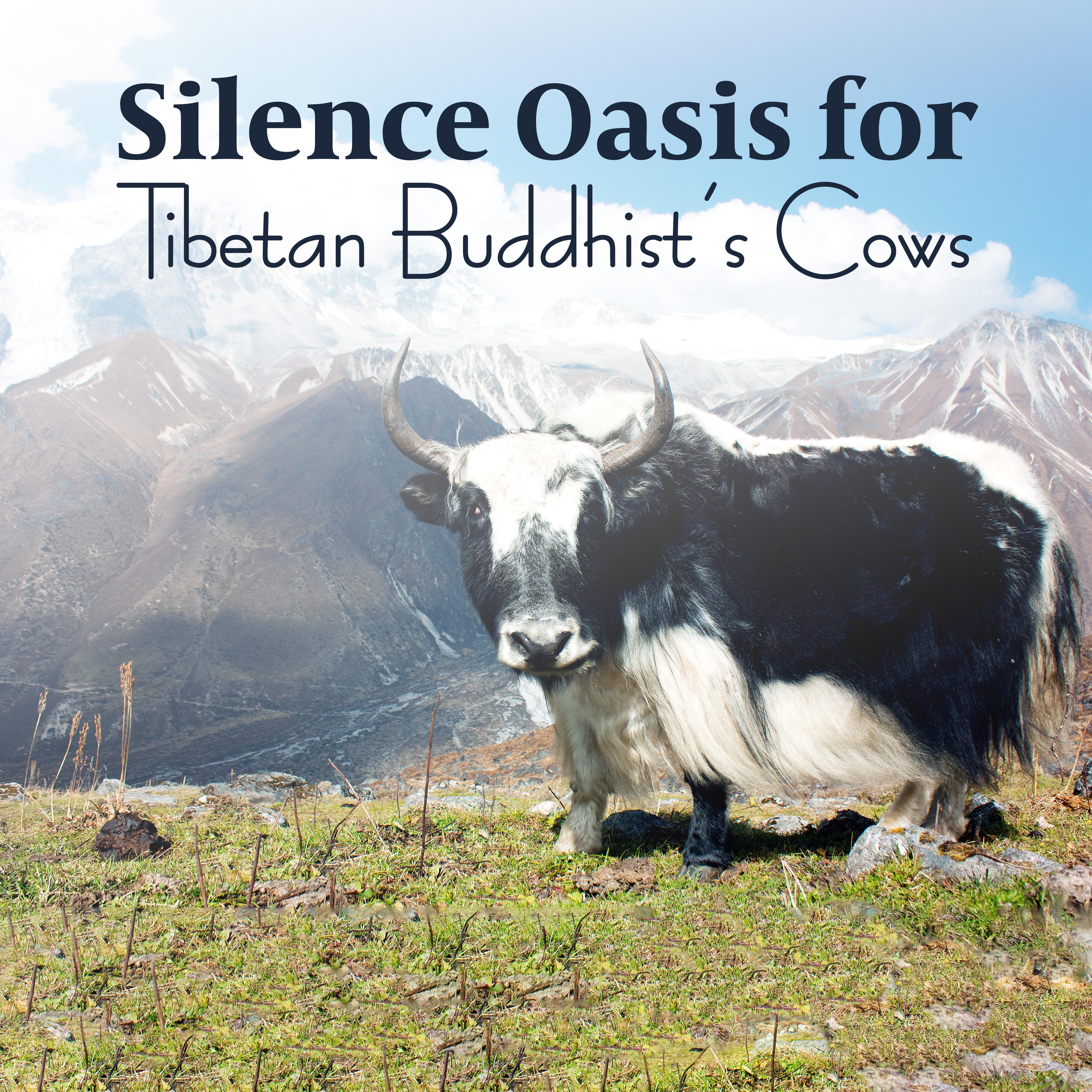 Silence Oasis for Tibetan Buddhist' s Cows: 2019 Relaxation Music for Animals, Calm Down  Stress Relief