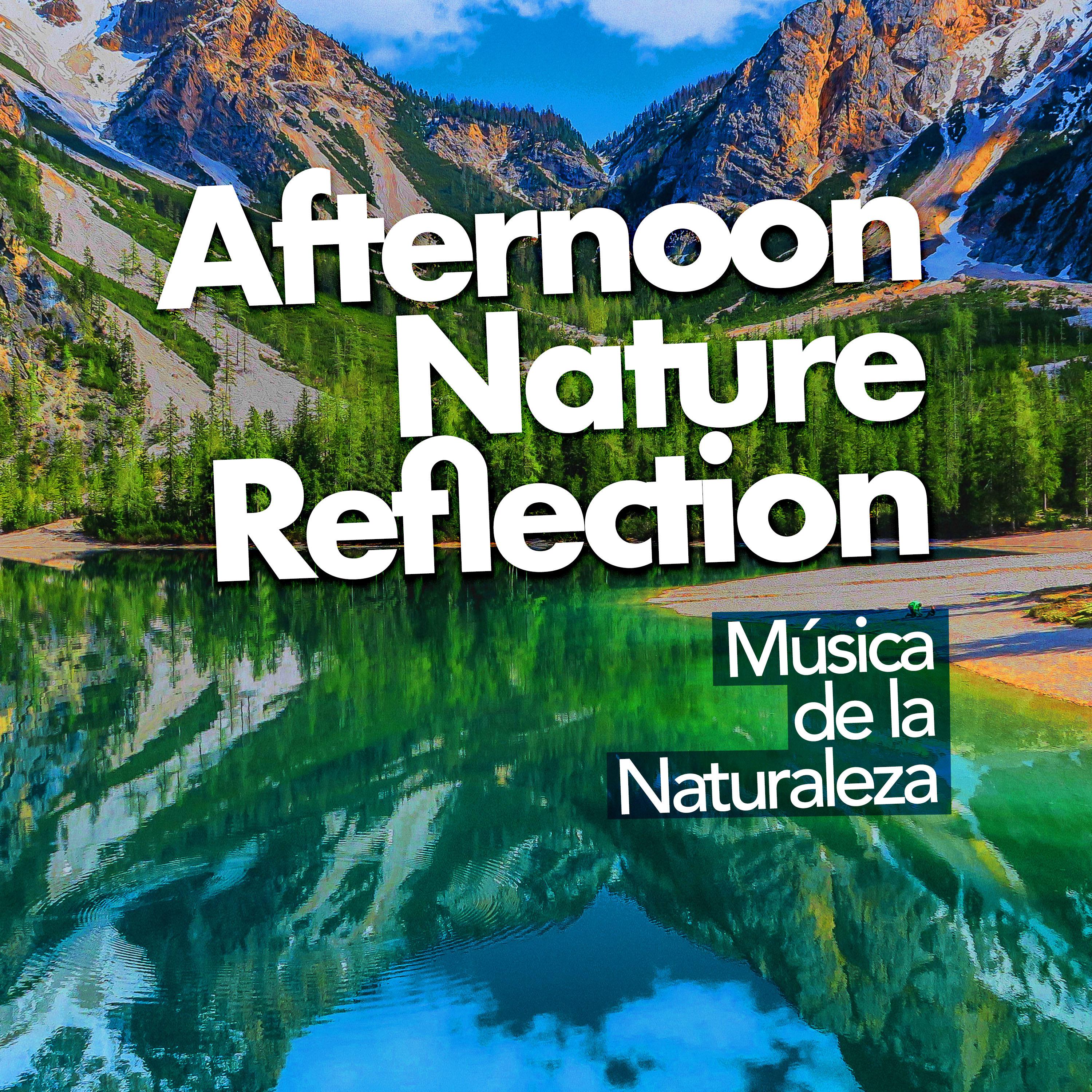 Afternoon Nature Reflection