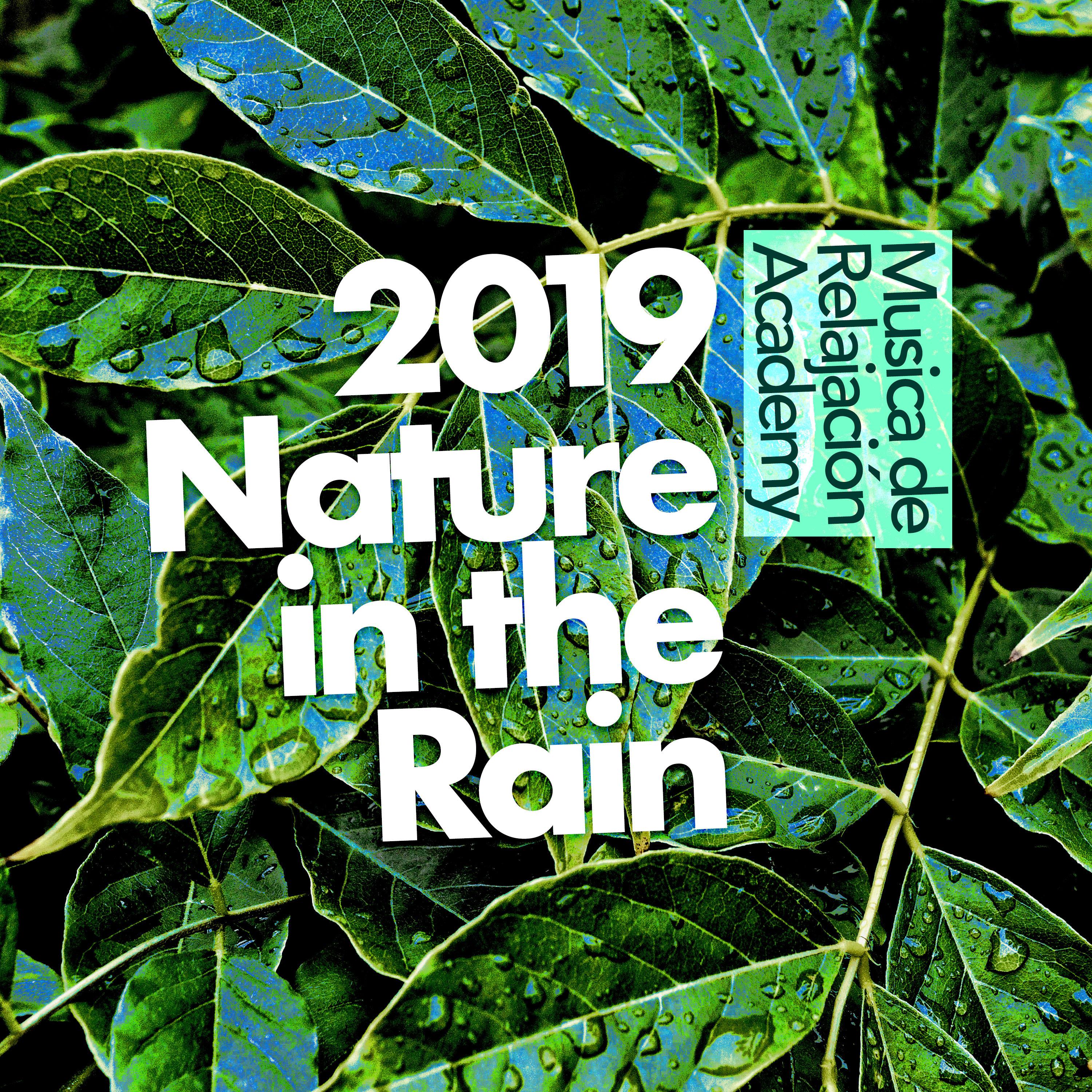 2019 Nature in the Rain