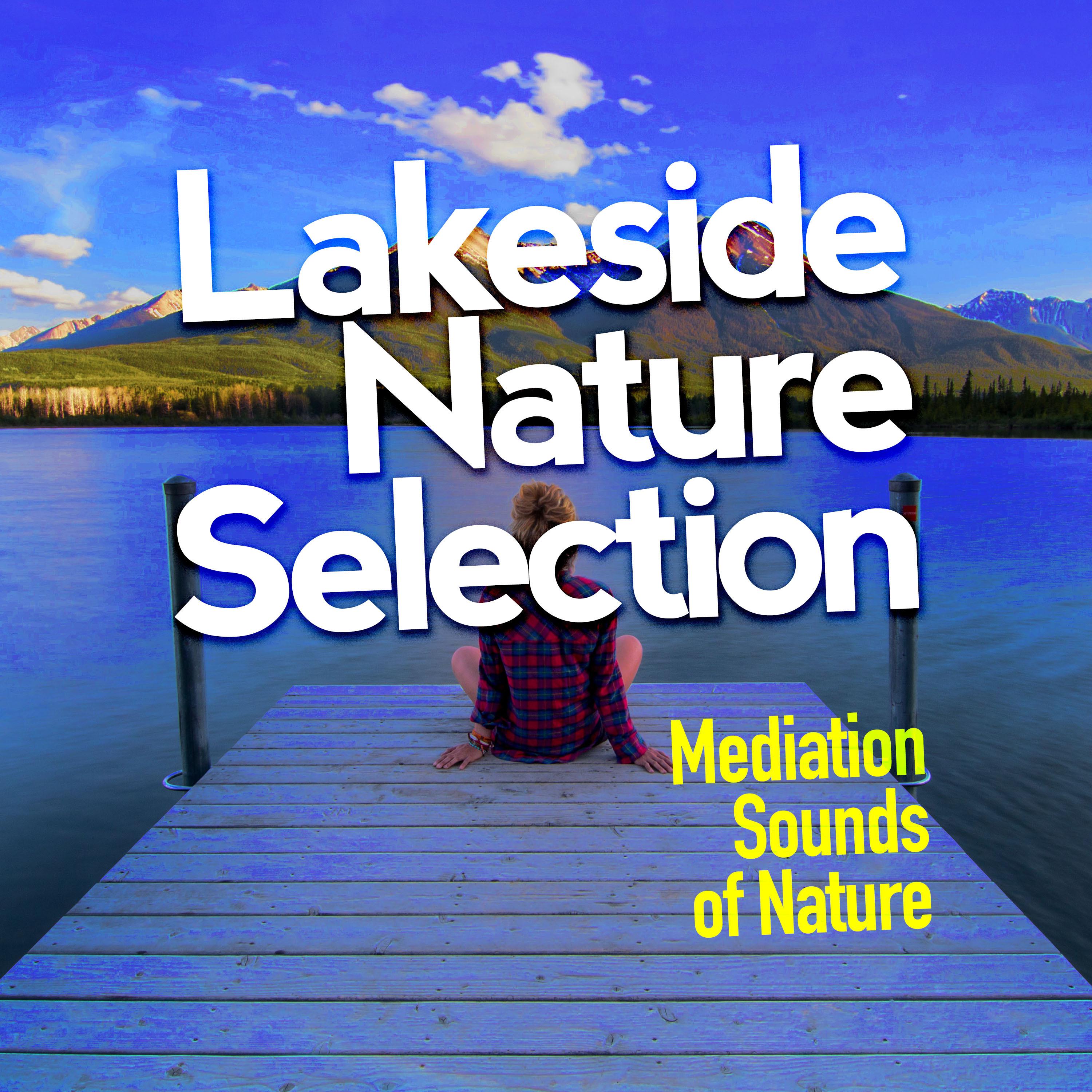 Lakeside Nature Selection