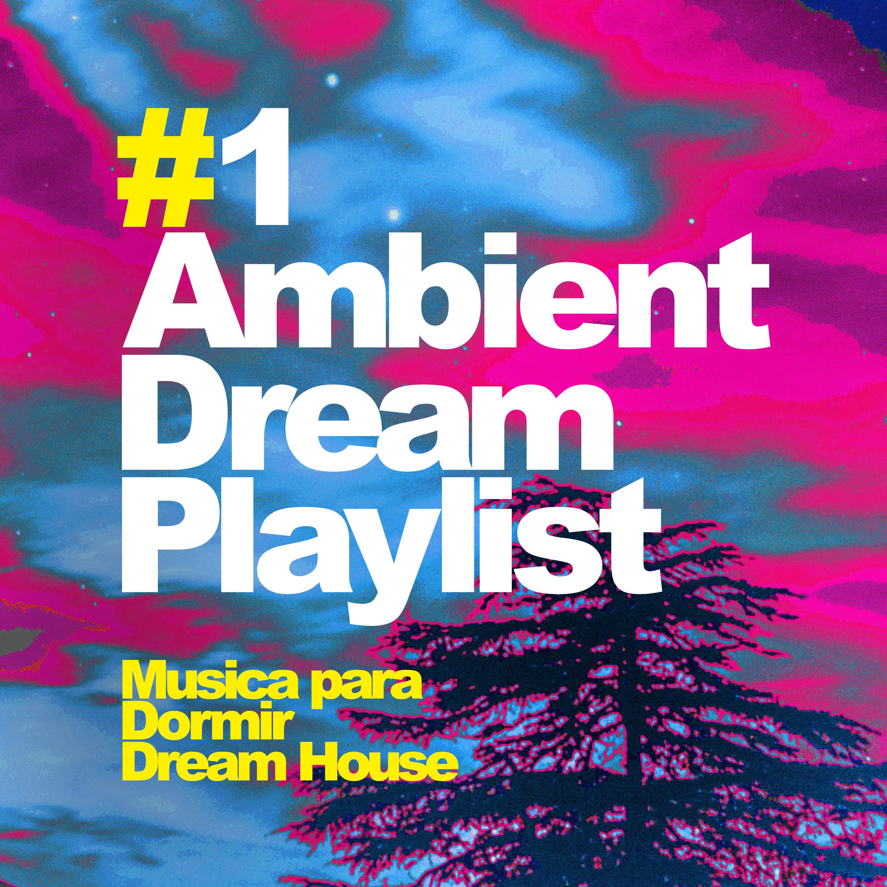 #1 Ambient Dream Playlist