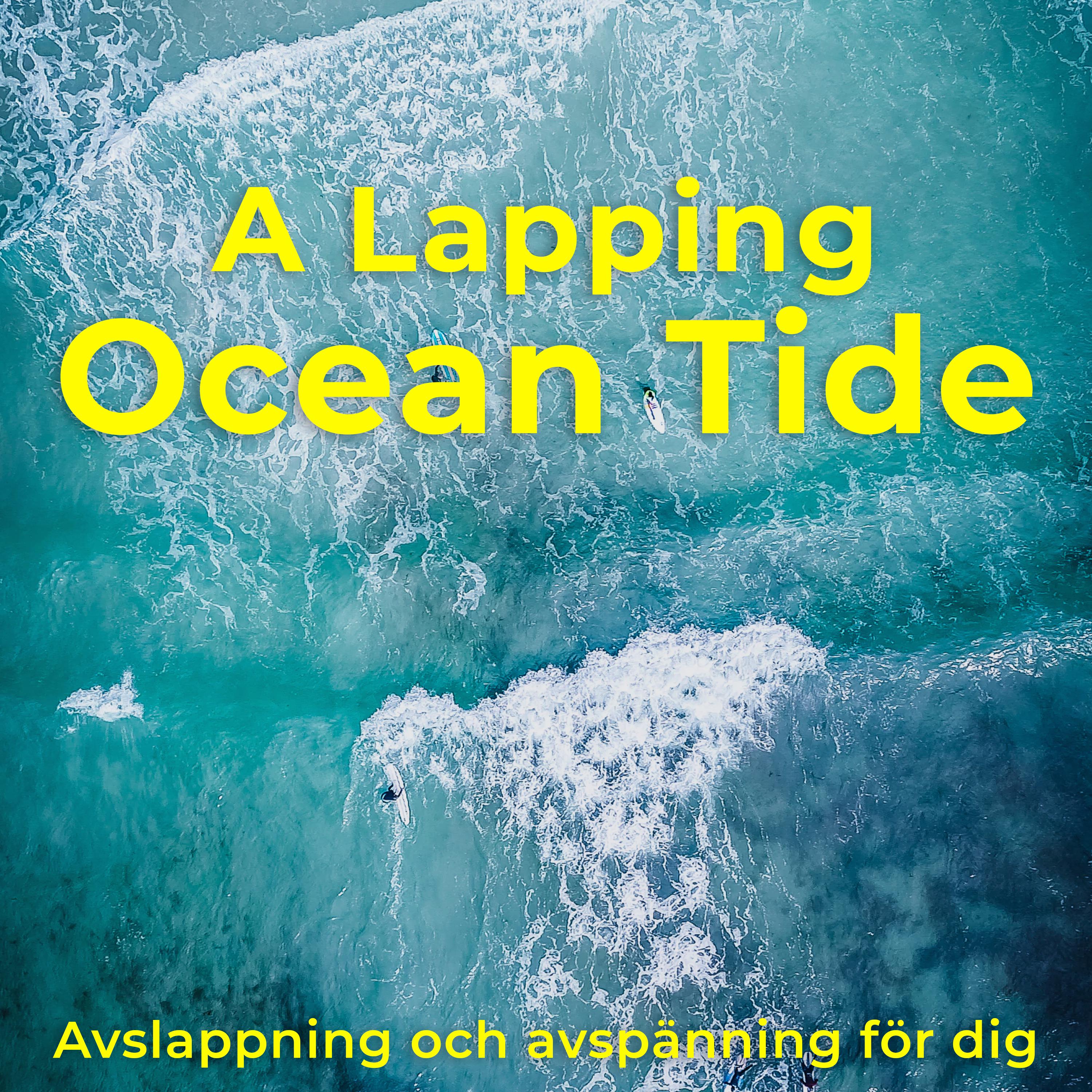 A Lapping Ocean Tide