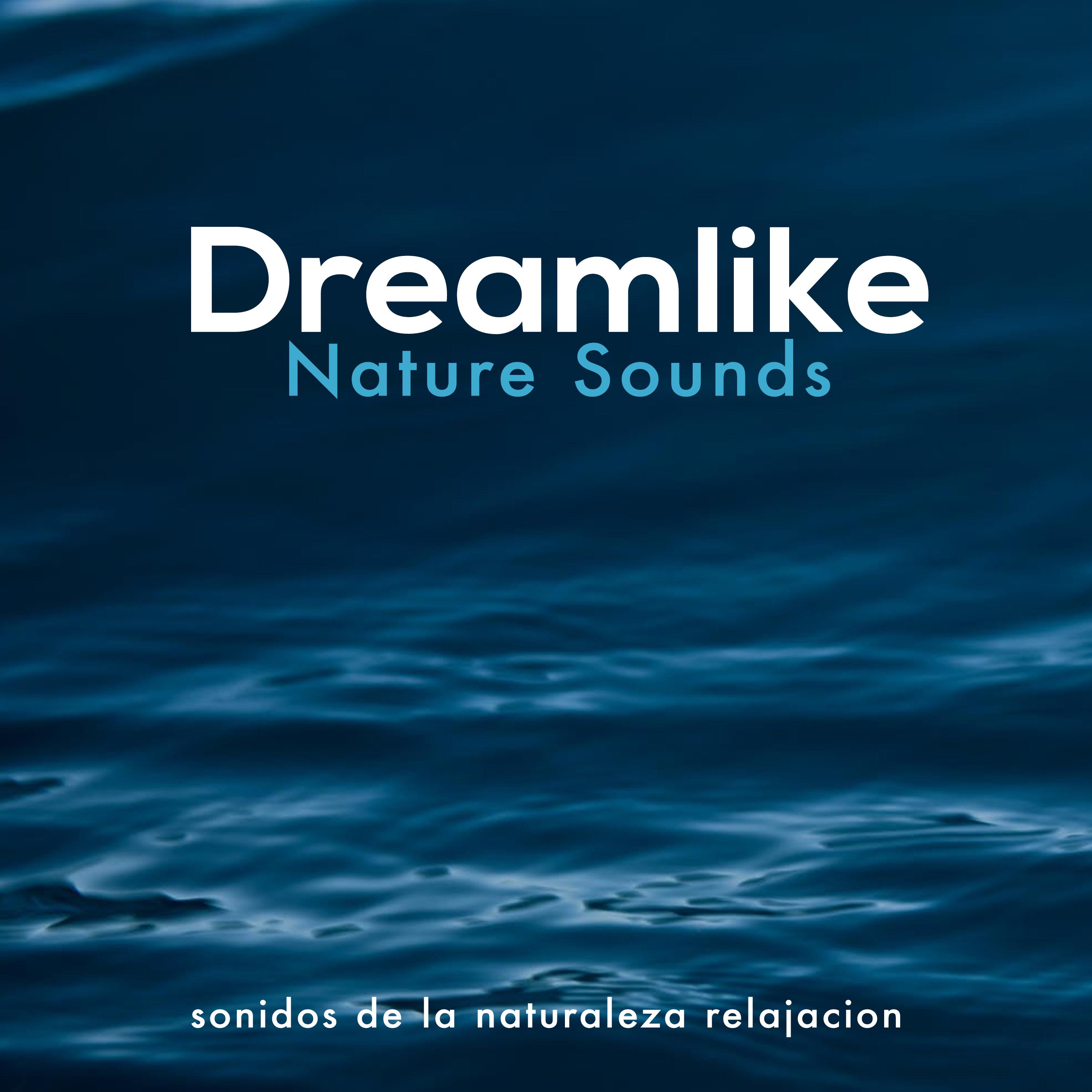 Dreamlike Nature Sounds