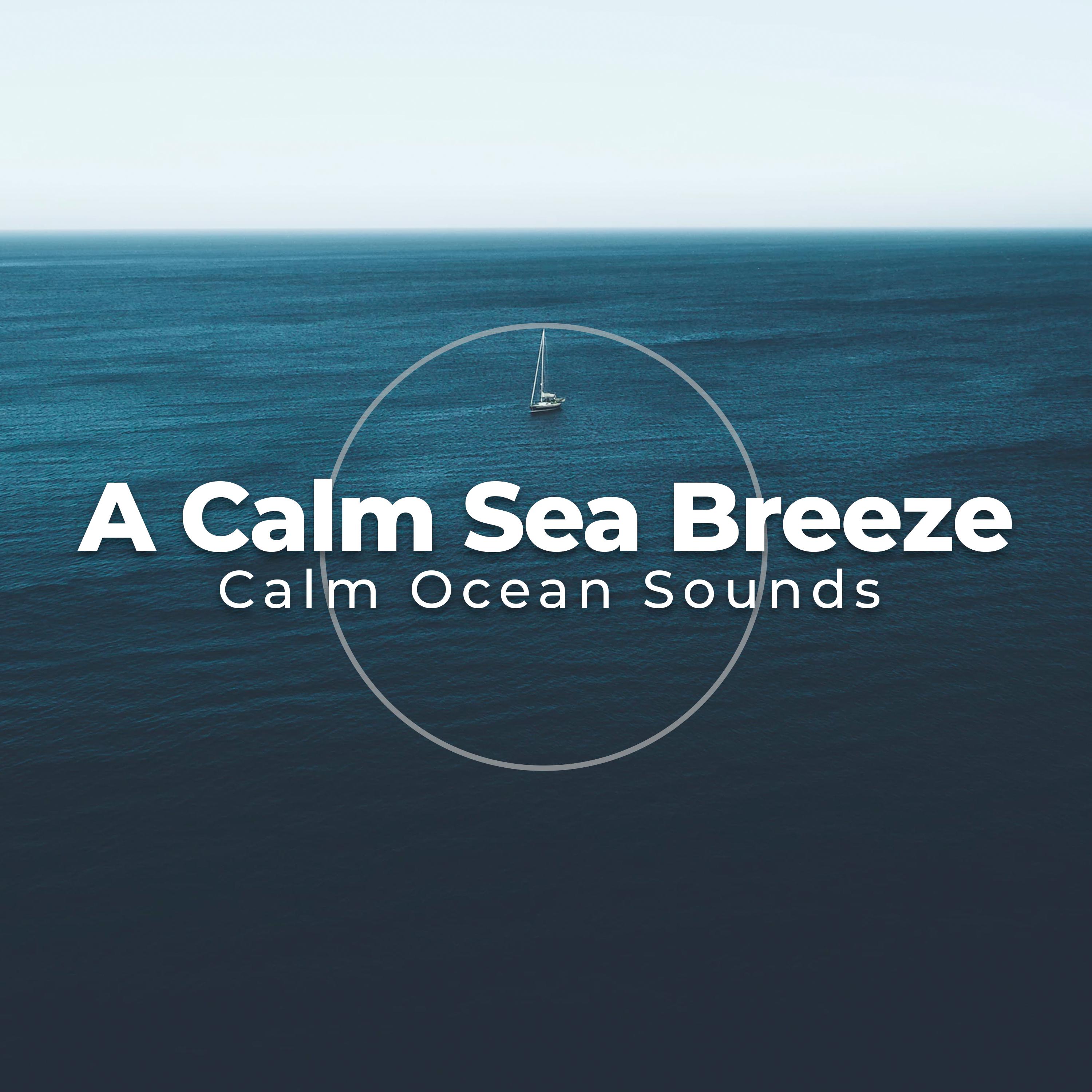 A Calm Sea Breeze