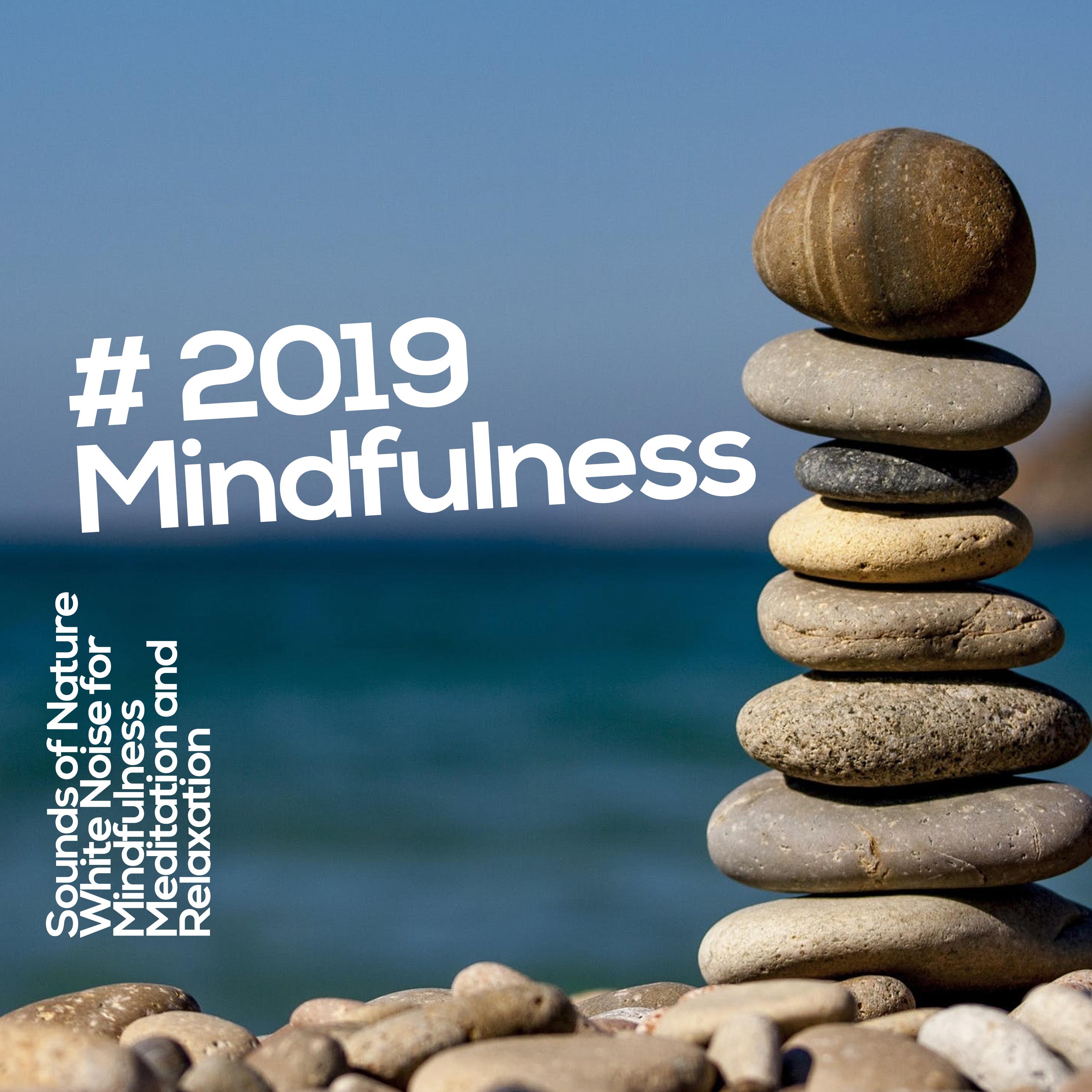 # 2019 Mindfulness