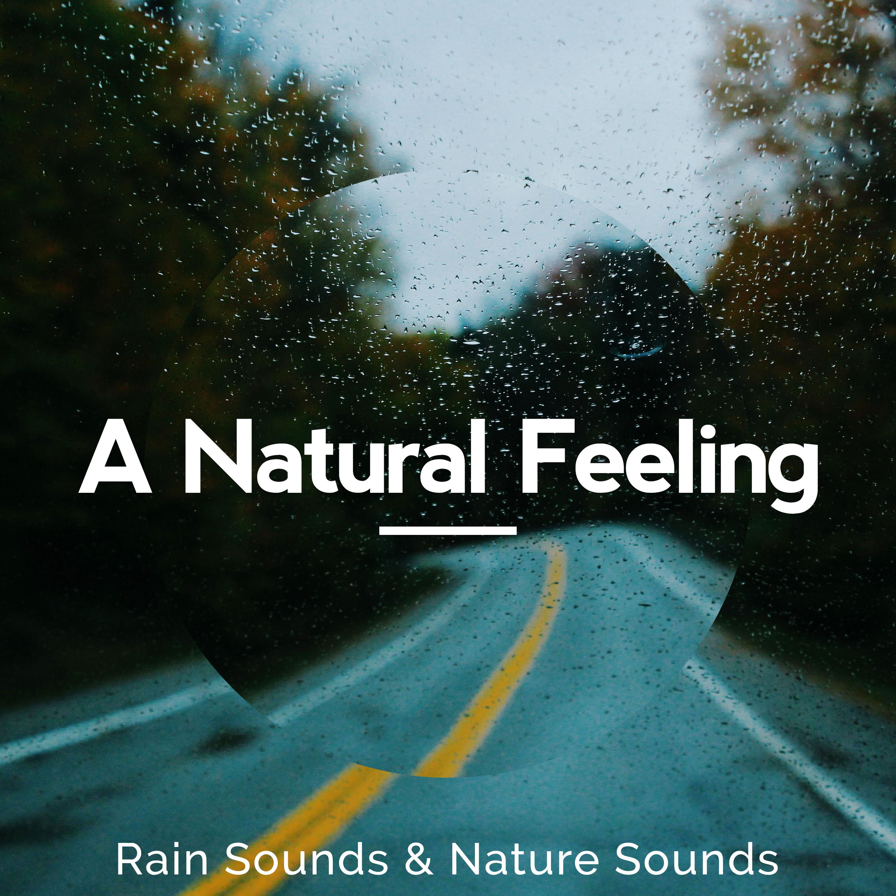 A Natural Feeling