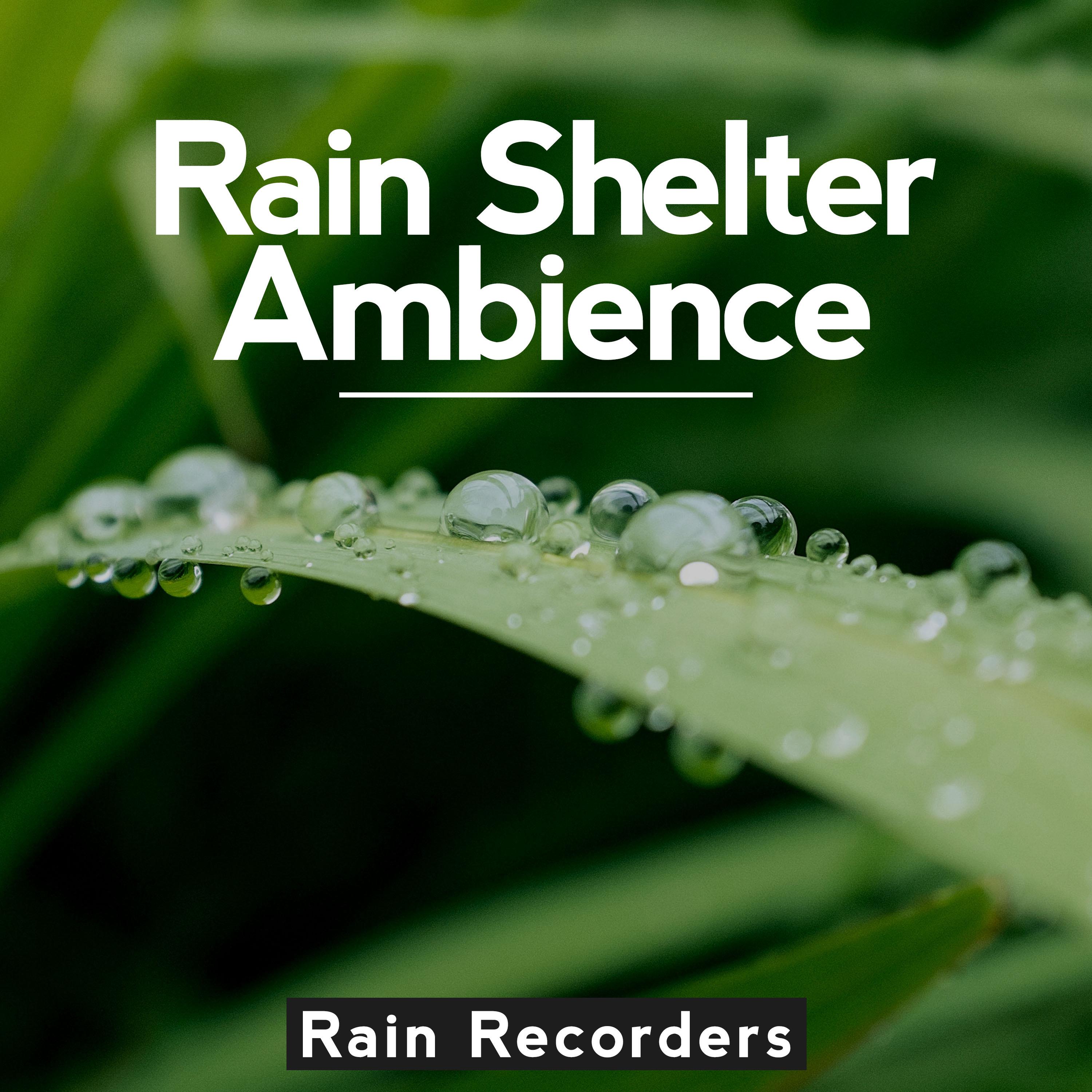 Rain Shelter Ambience