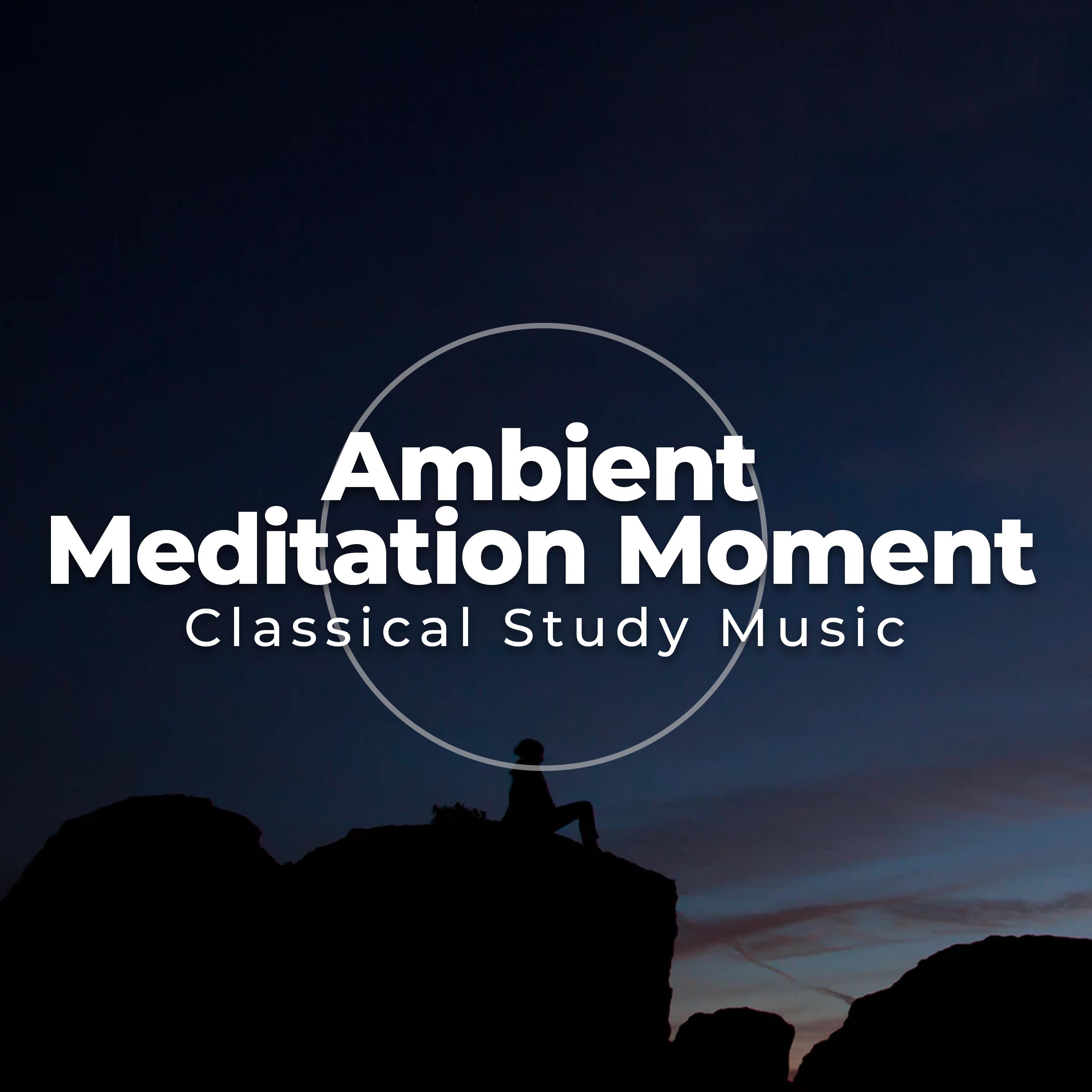 Ambient Meditation Moment