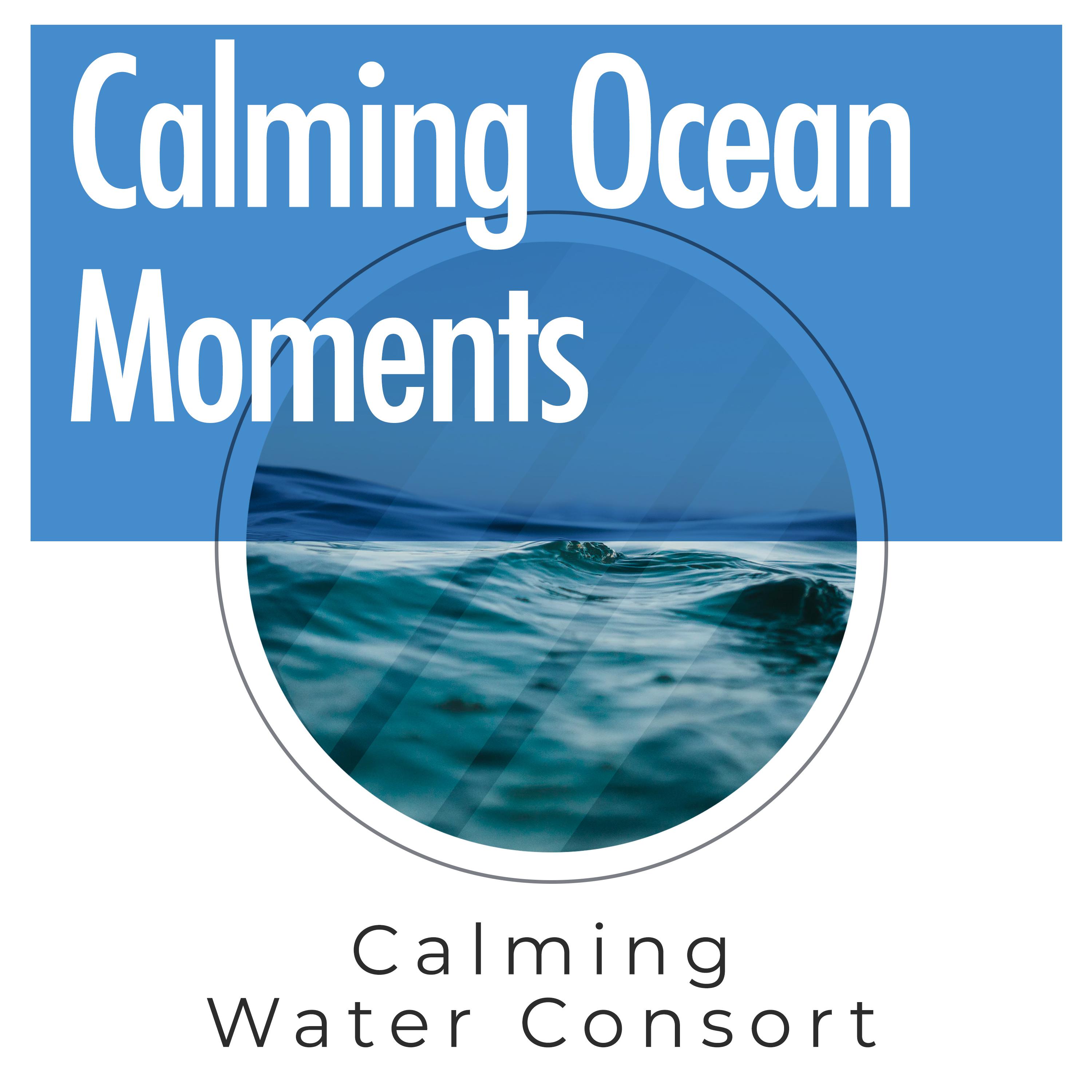 Calming Ocean Moments