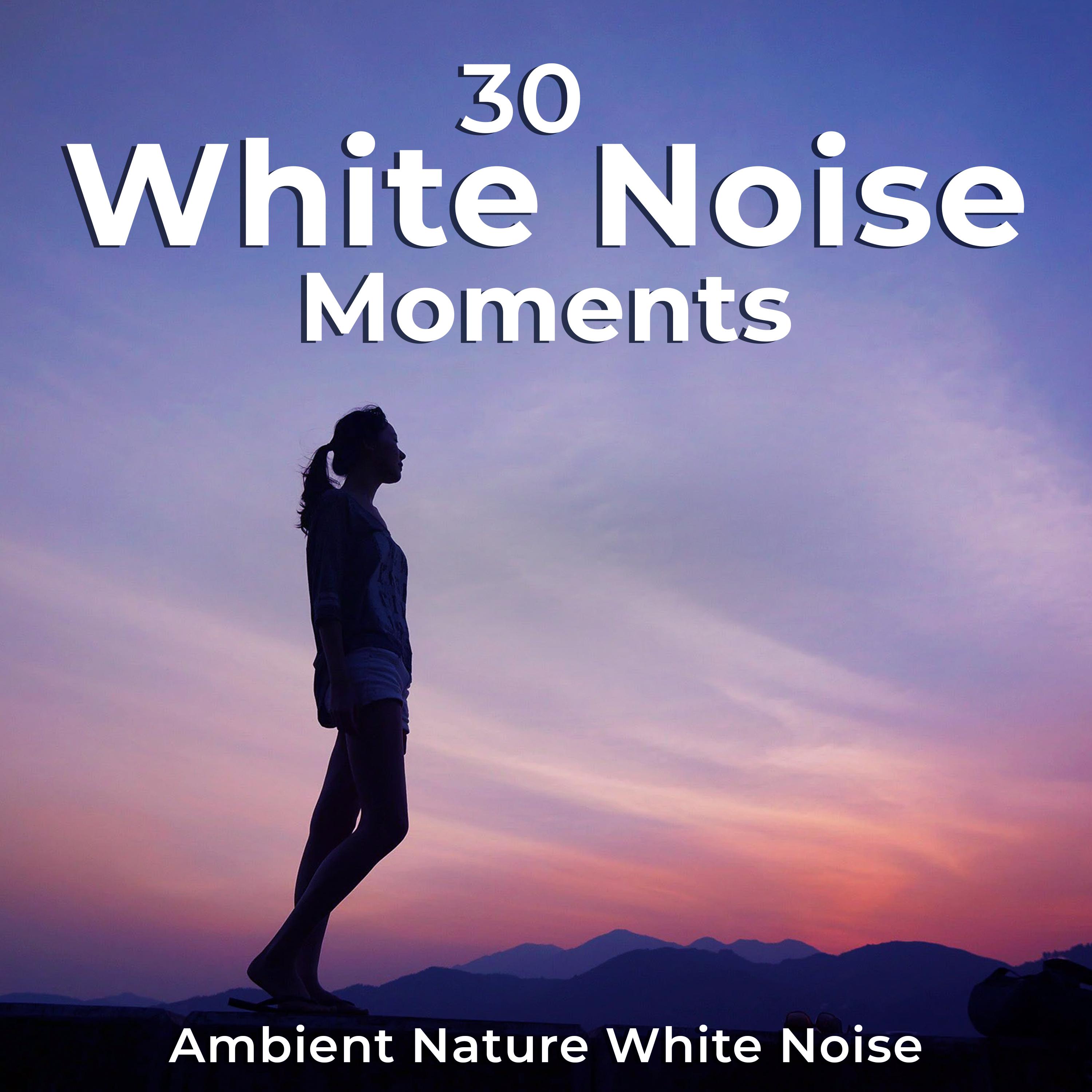 30 White Noise Moments