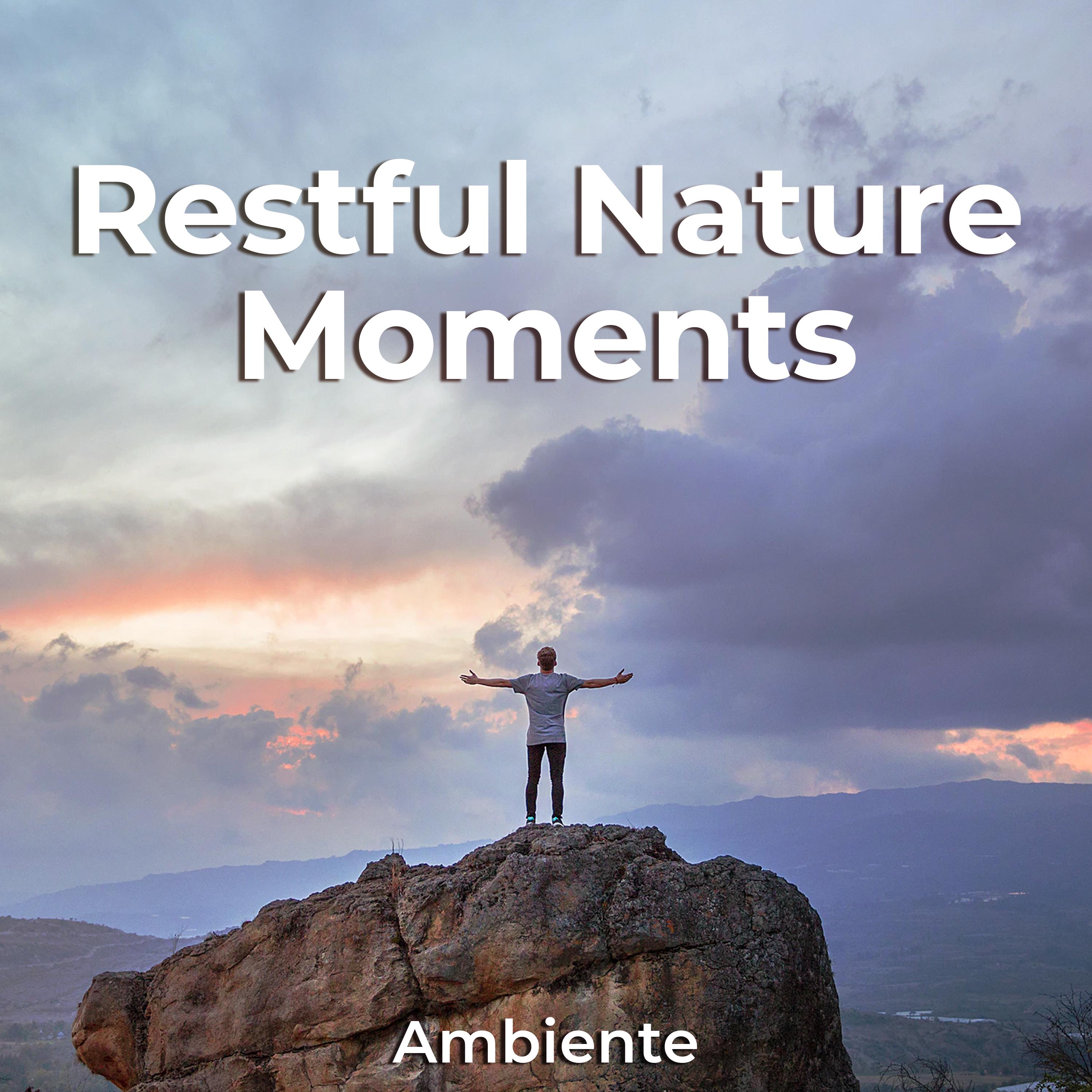 Restful Nature Moments