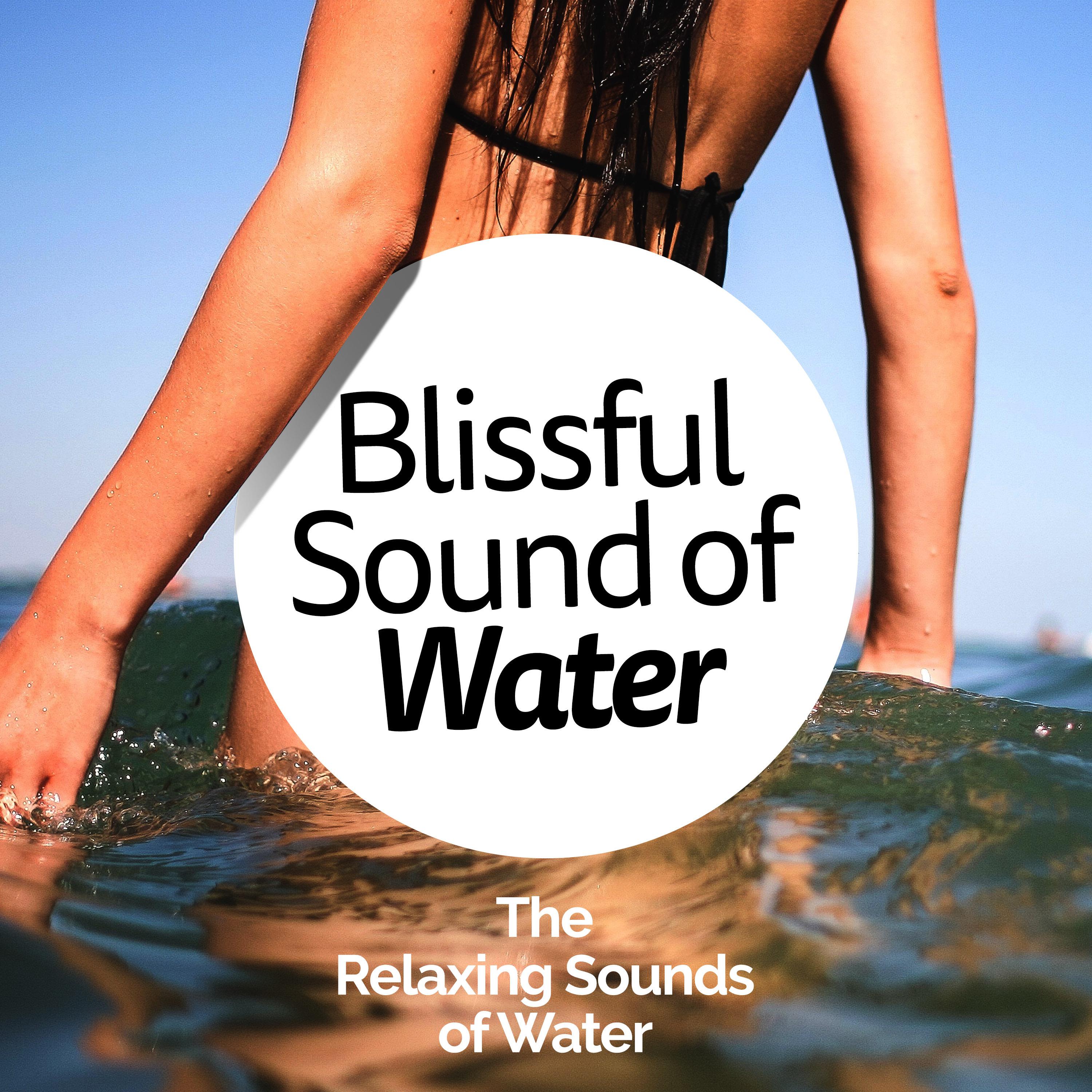 Blissful Sound of Water