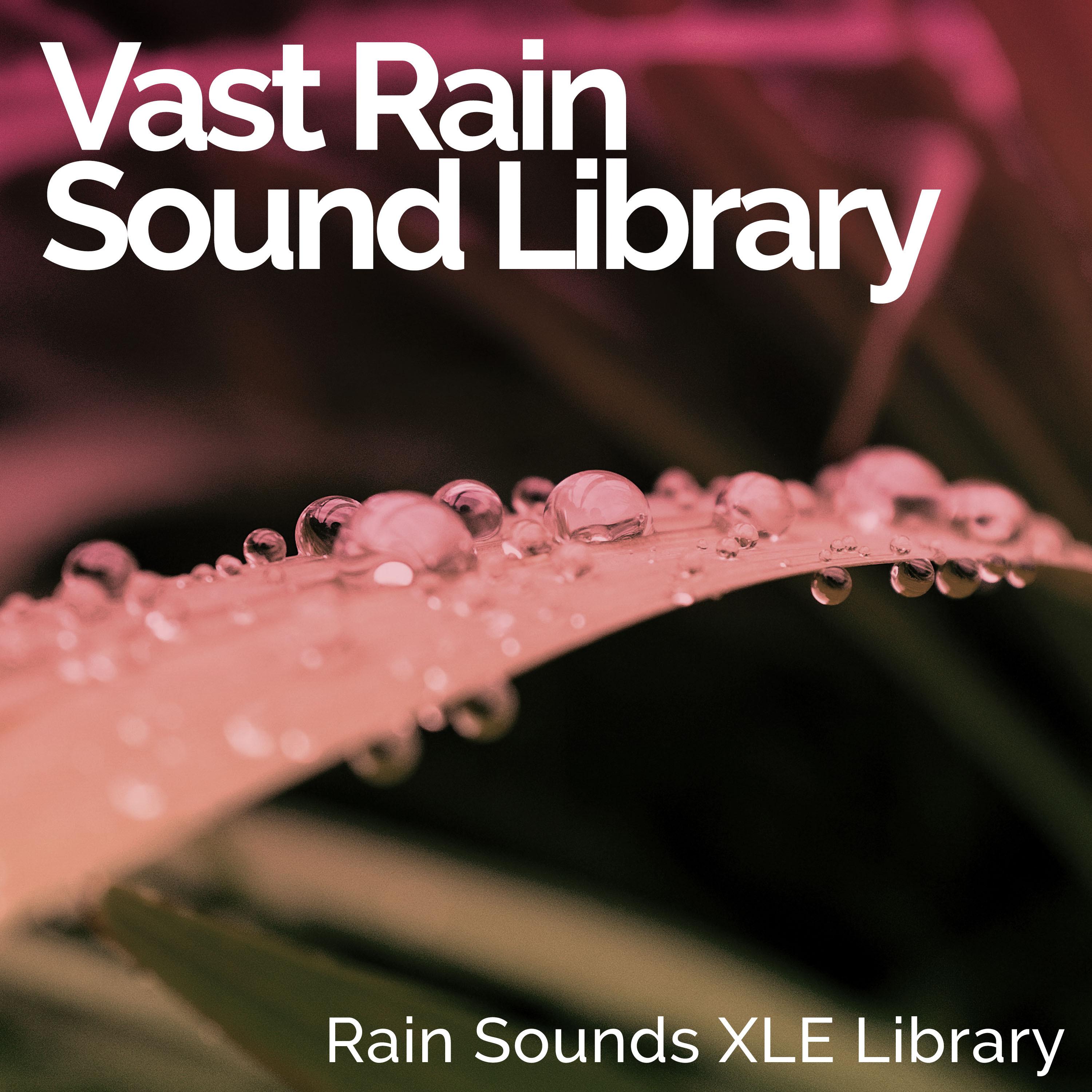 Vast Rain Sound Library