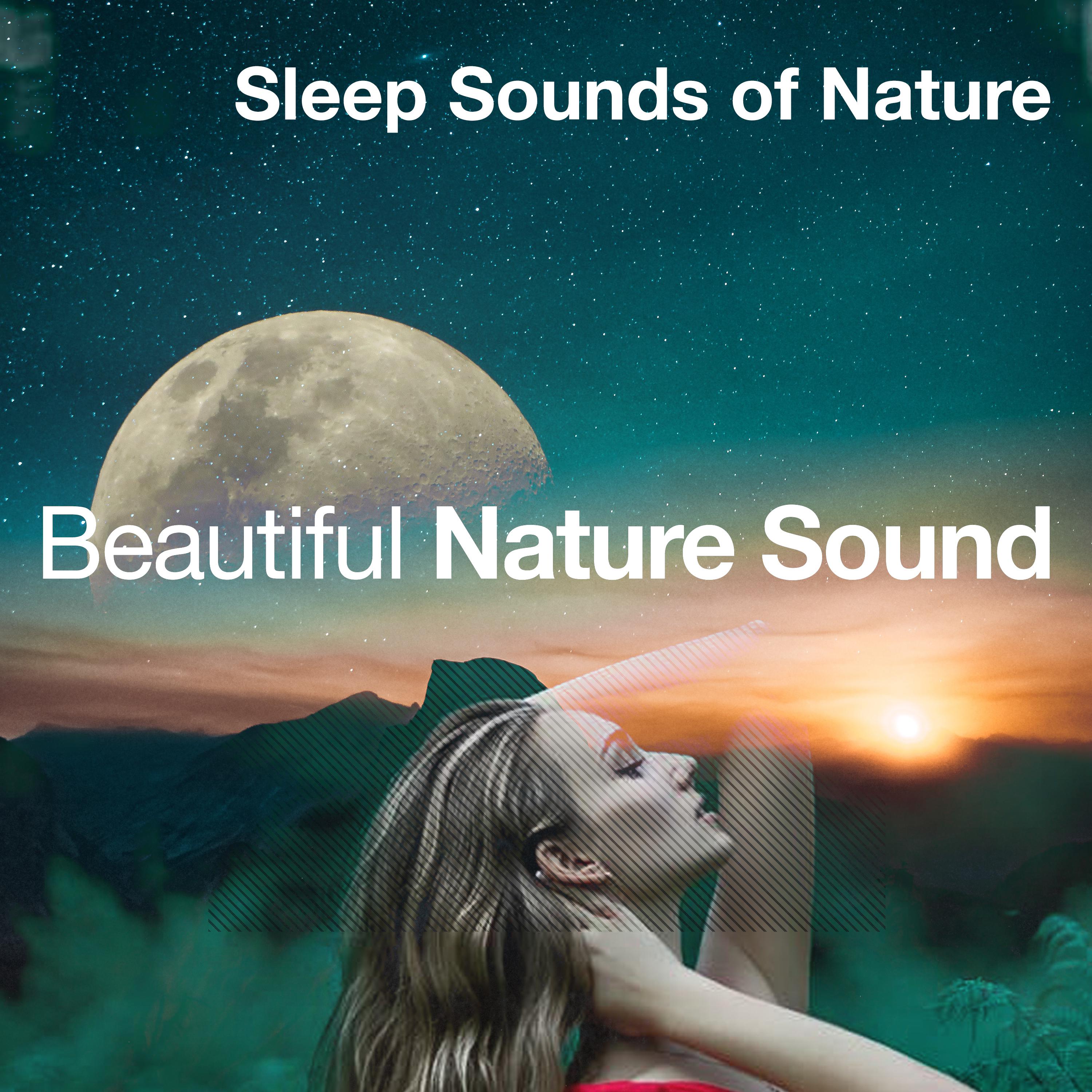 Beautiful Nature Sound