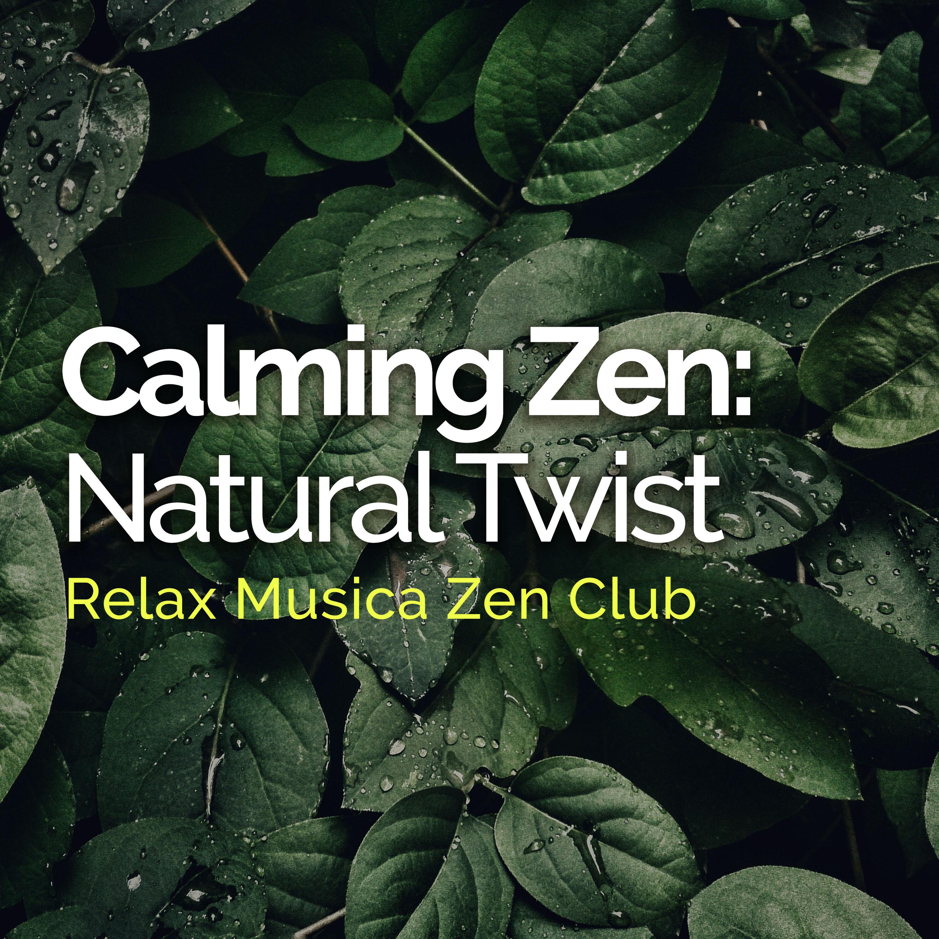 Calming Zen: Natural Twist