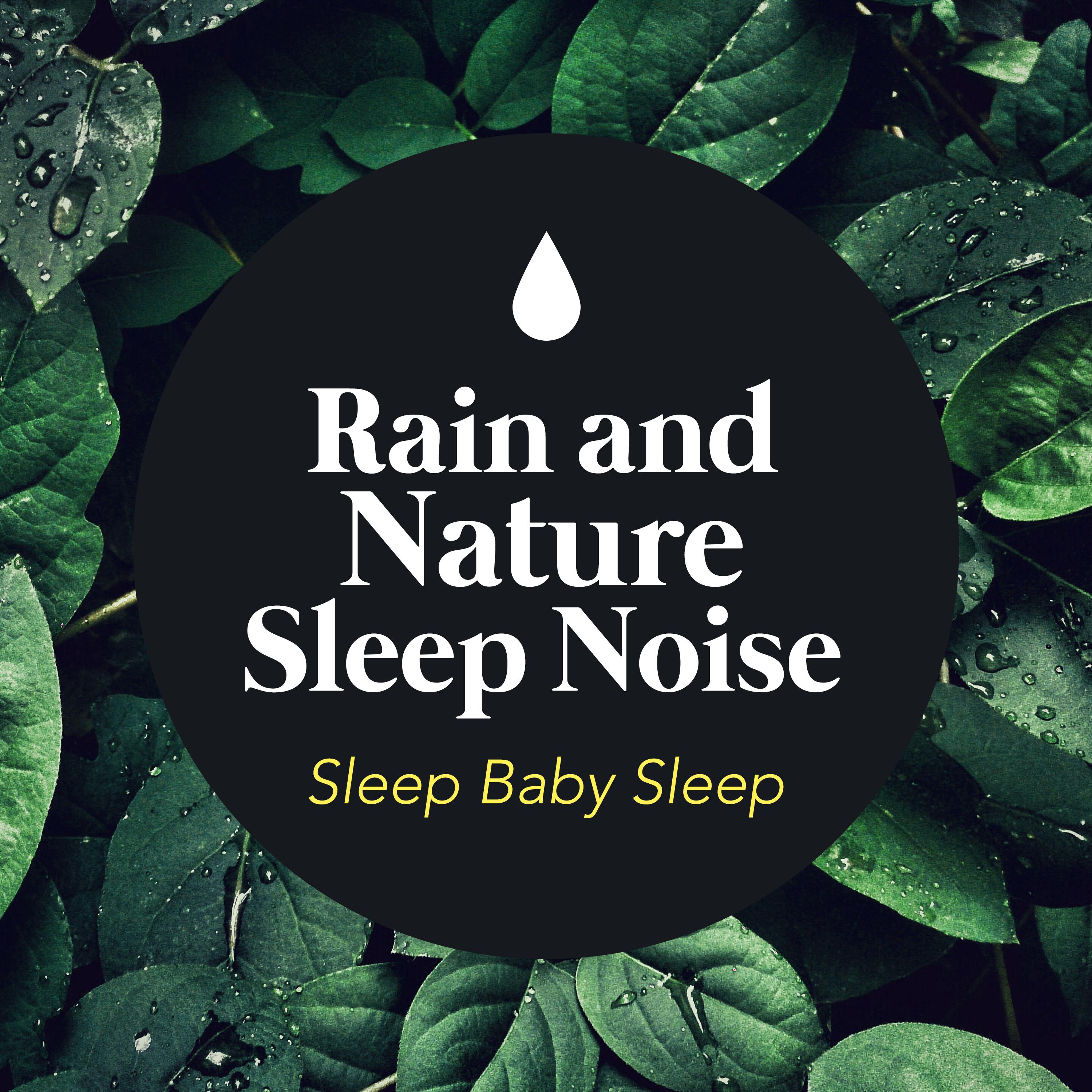 Rain and Nature Sleep Noise