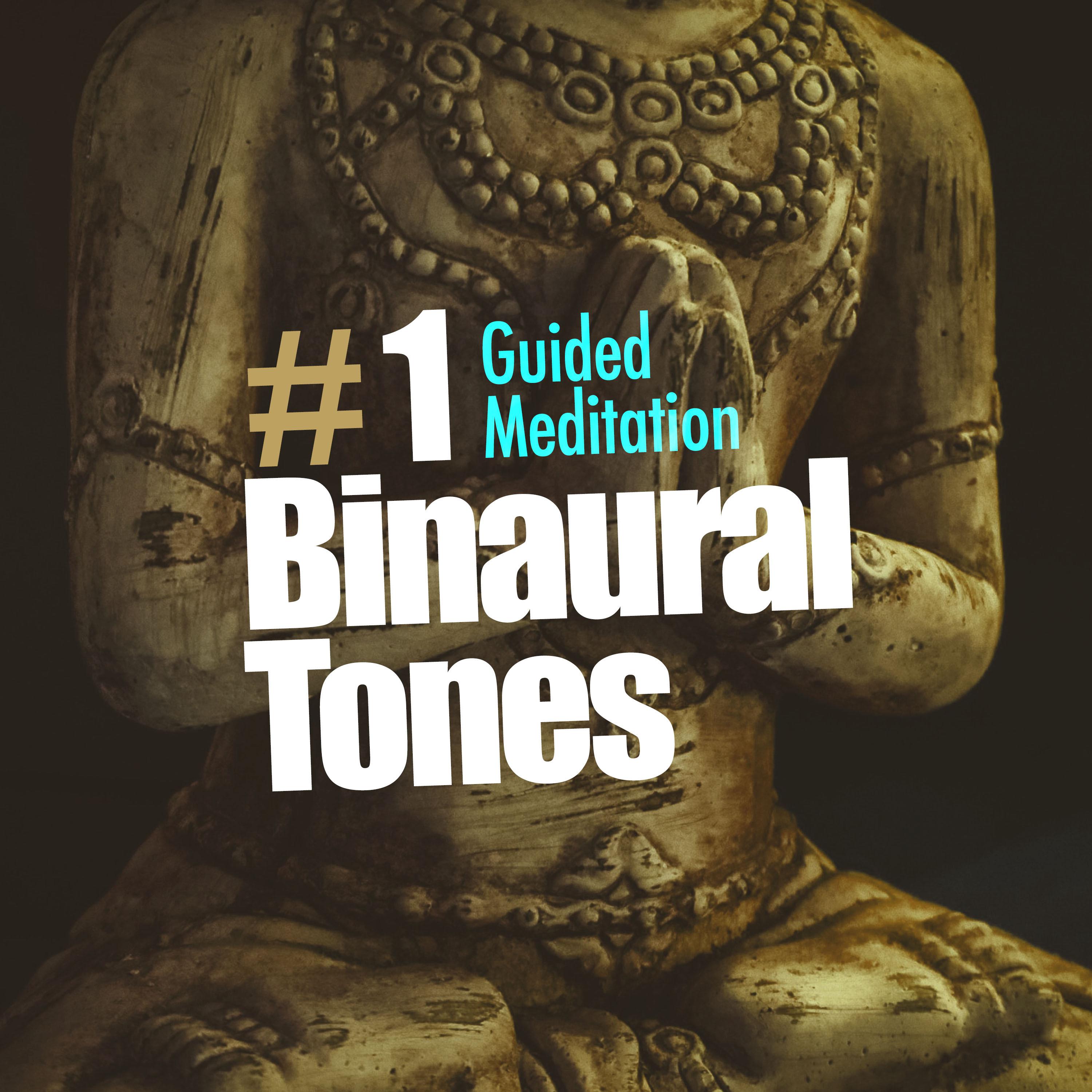 # 1 Binaural Tones