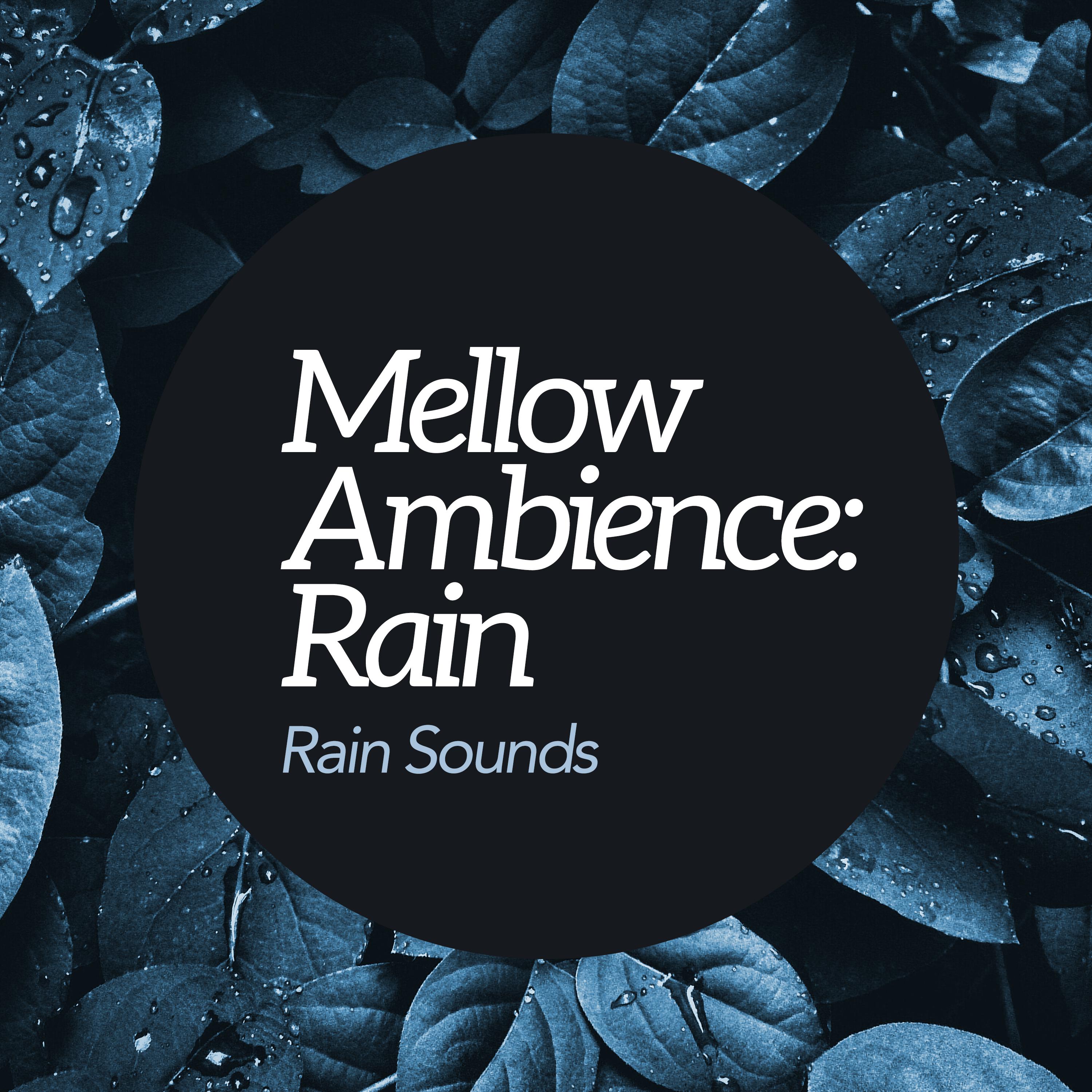 Mellow Ambience: Rain