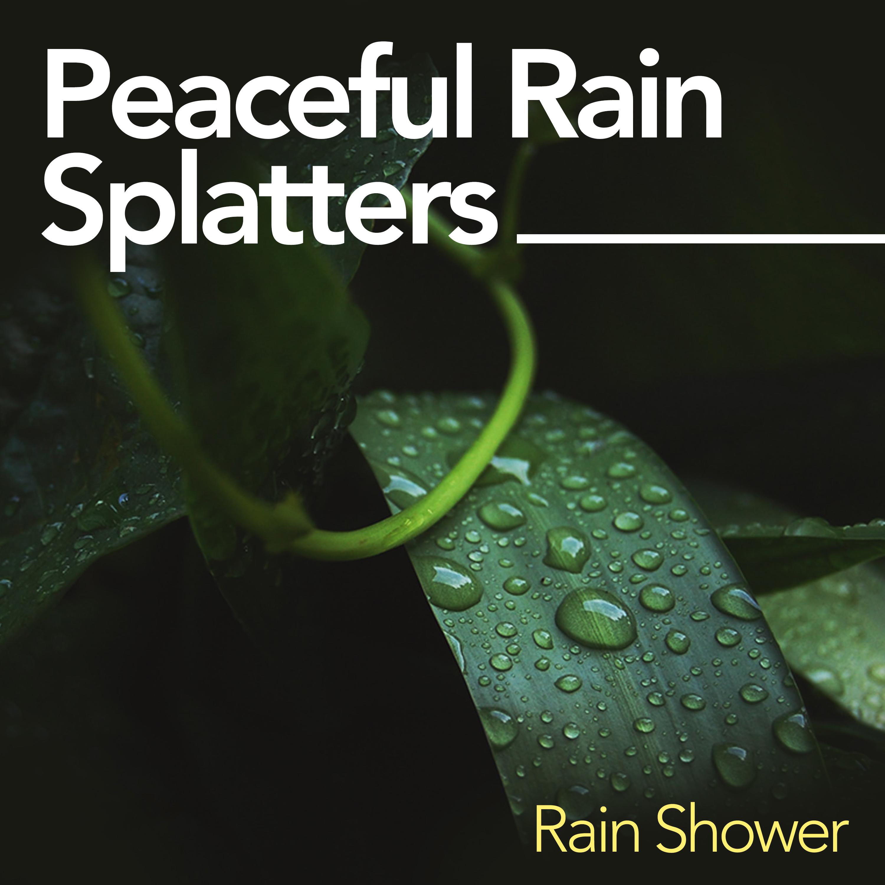 Peaceful Rain Splatters