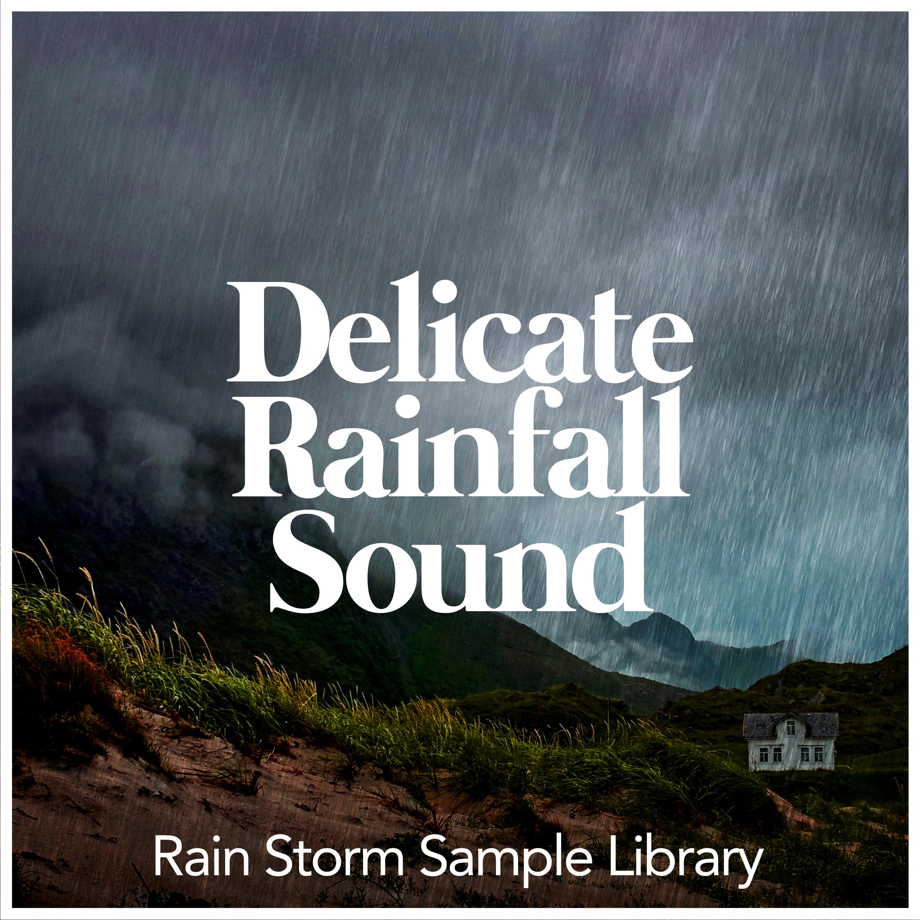 Delicate Rainfall Sound