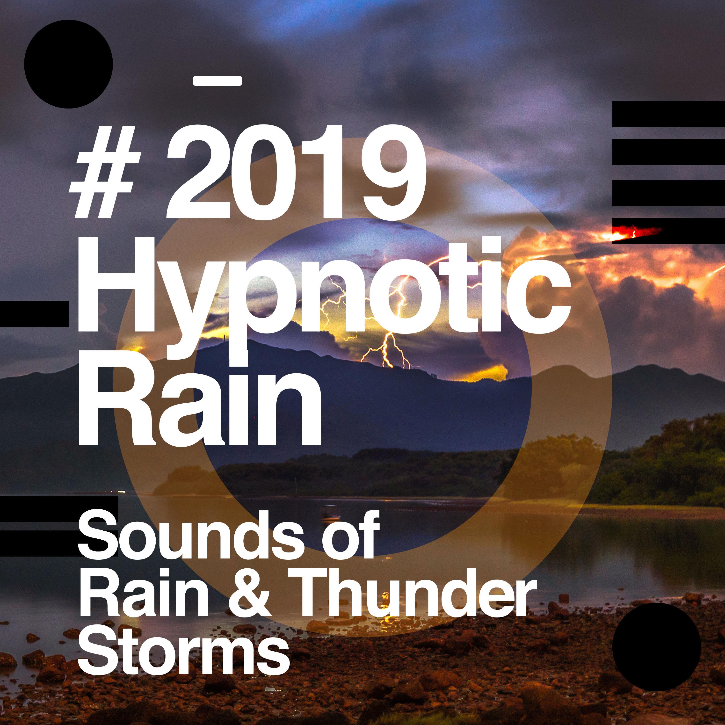 # 2019 Hypnotic Rain