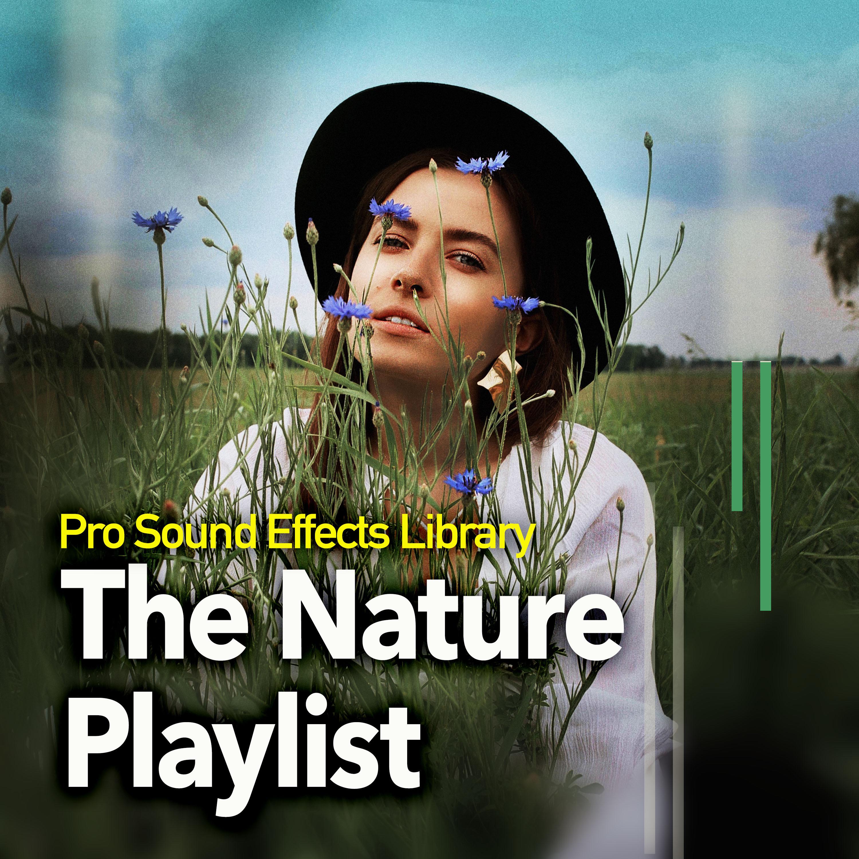 The Nature Playlist