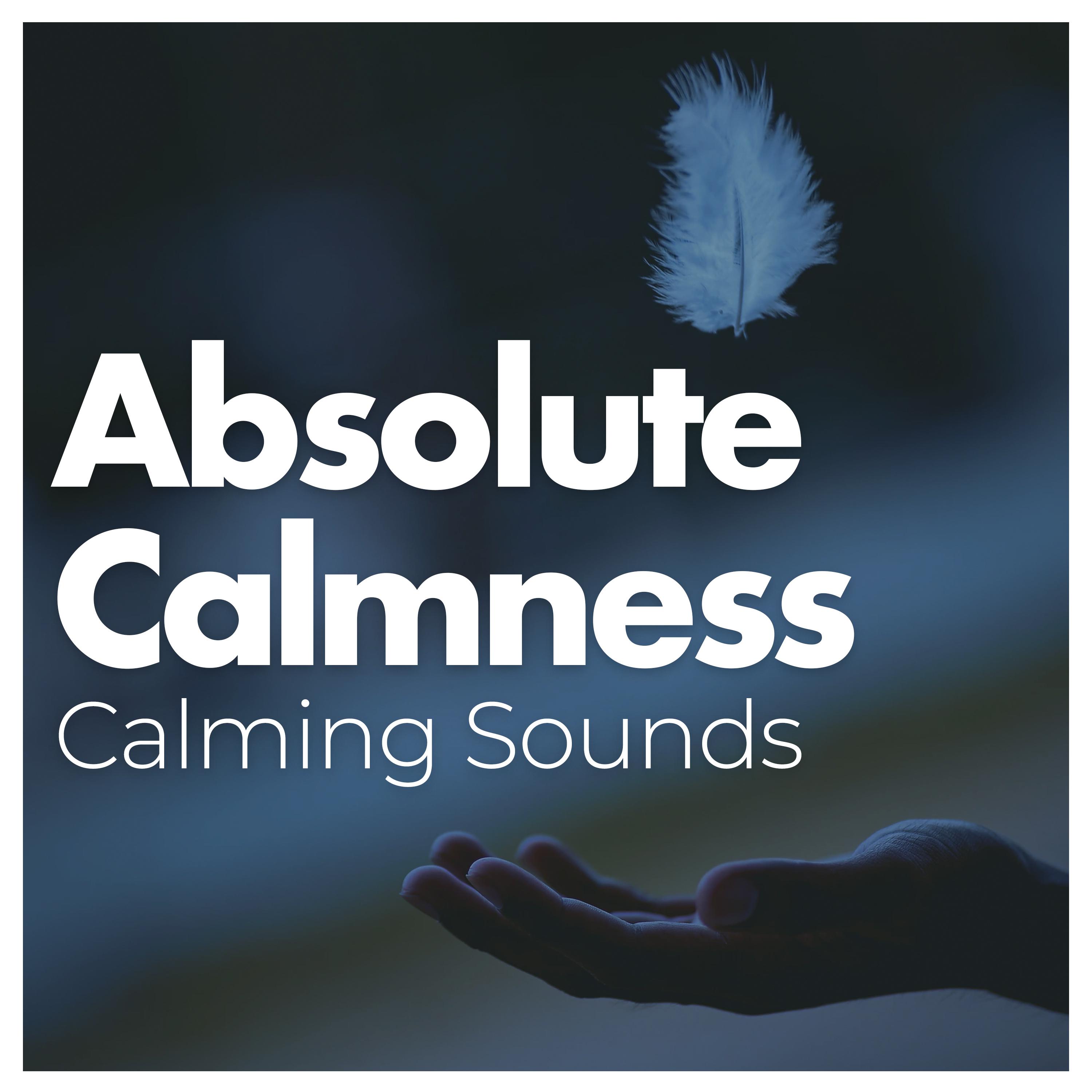 Absolute Calmness