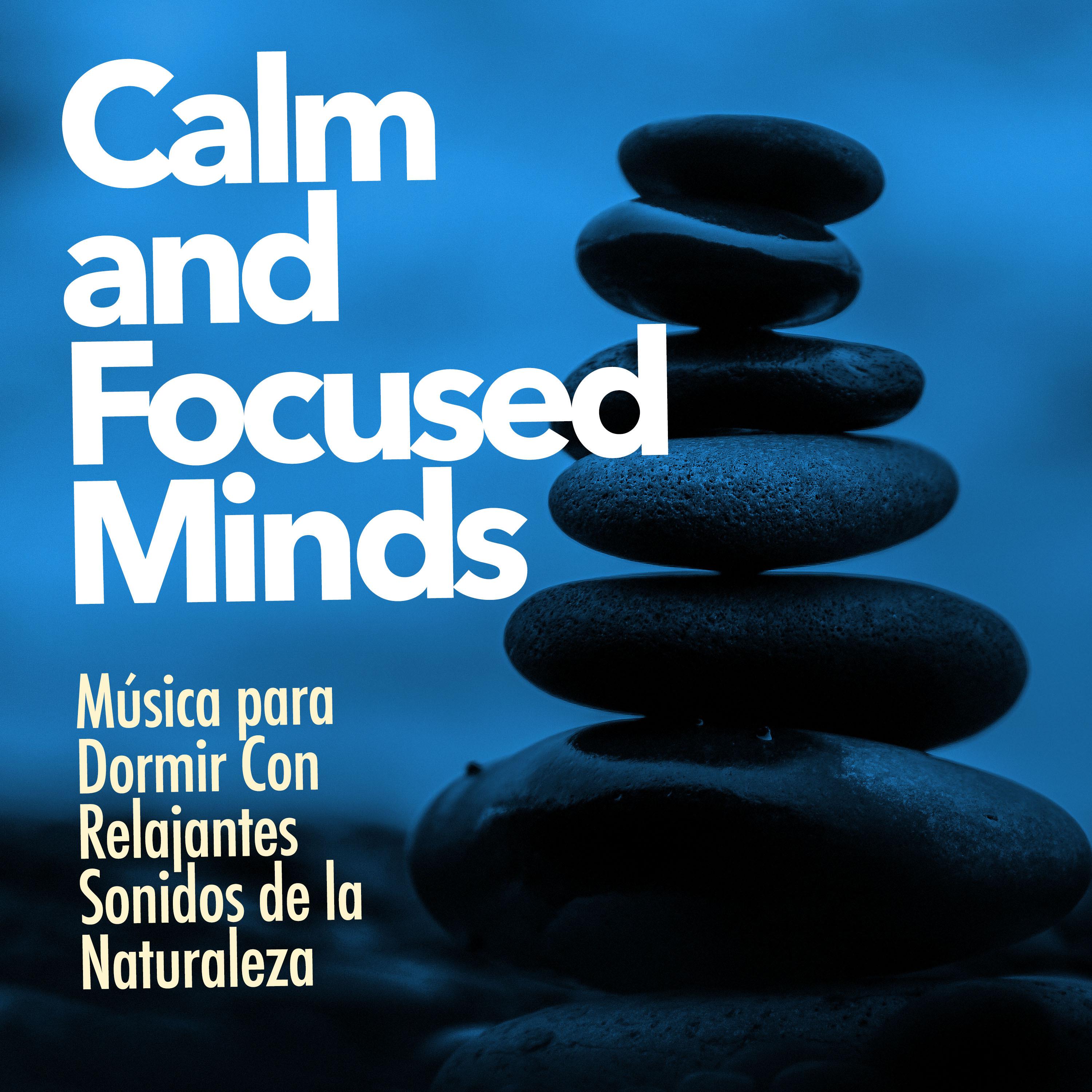 Calm and Focused Minds