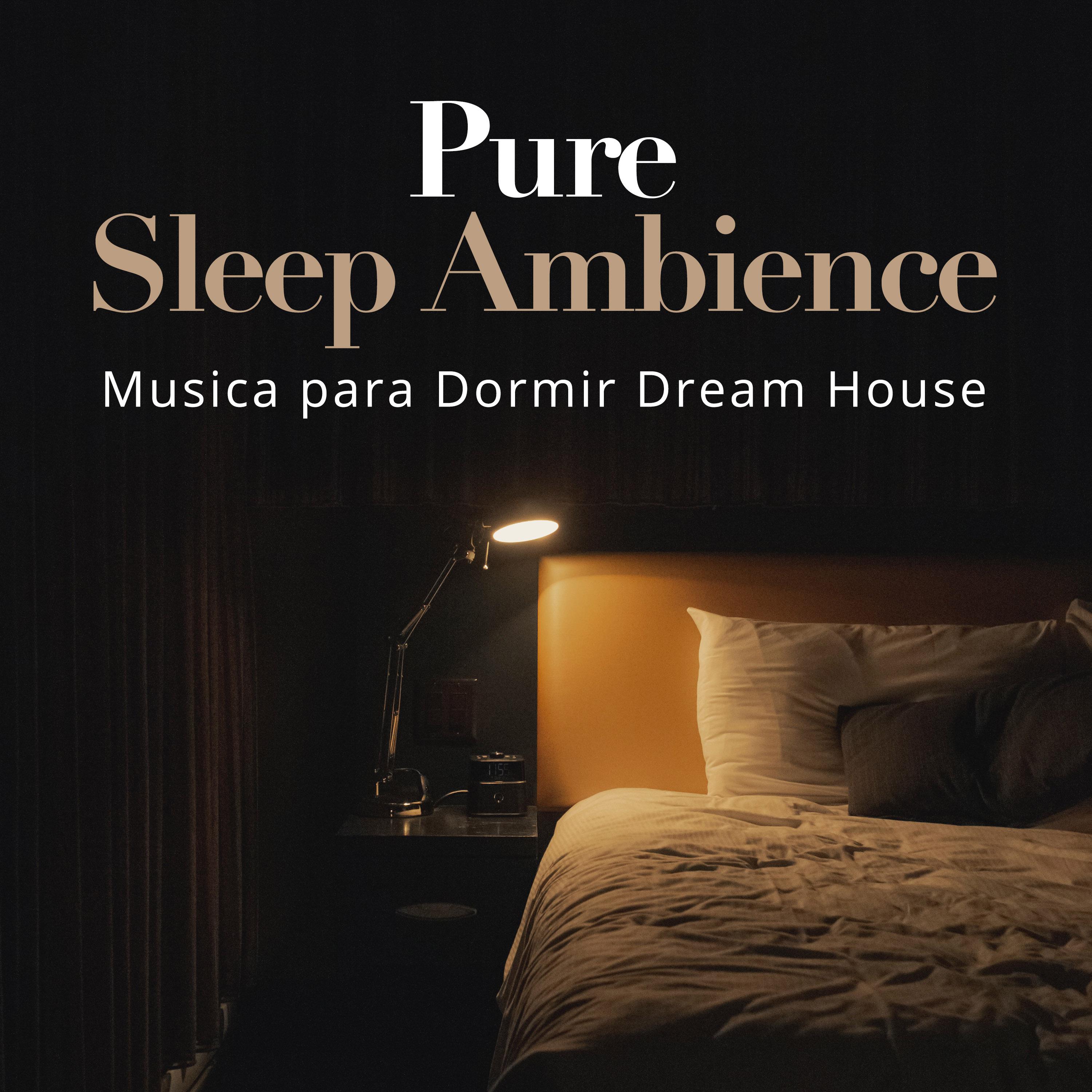 Pure Sleep Ambience