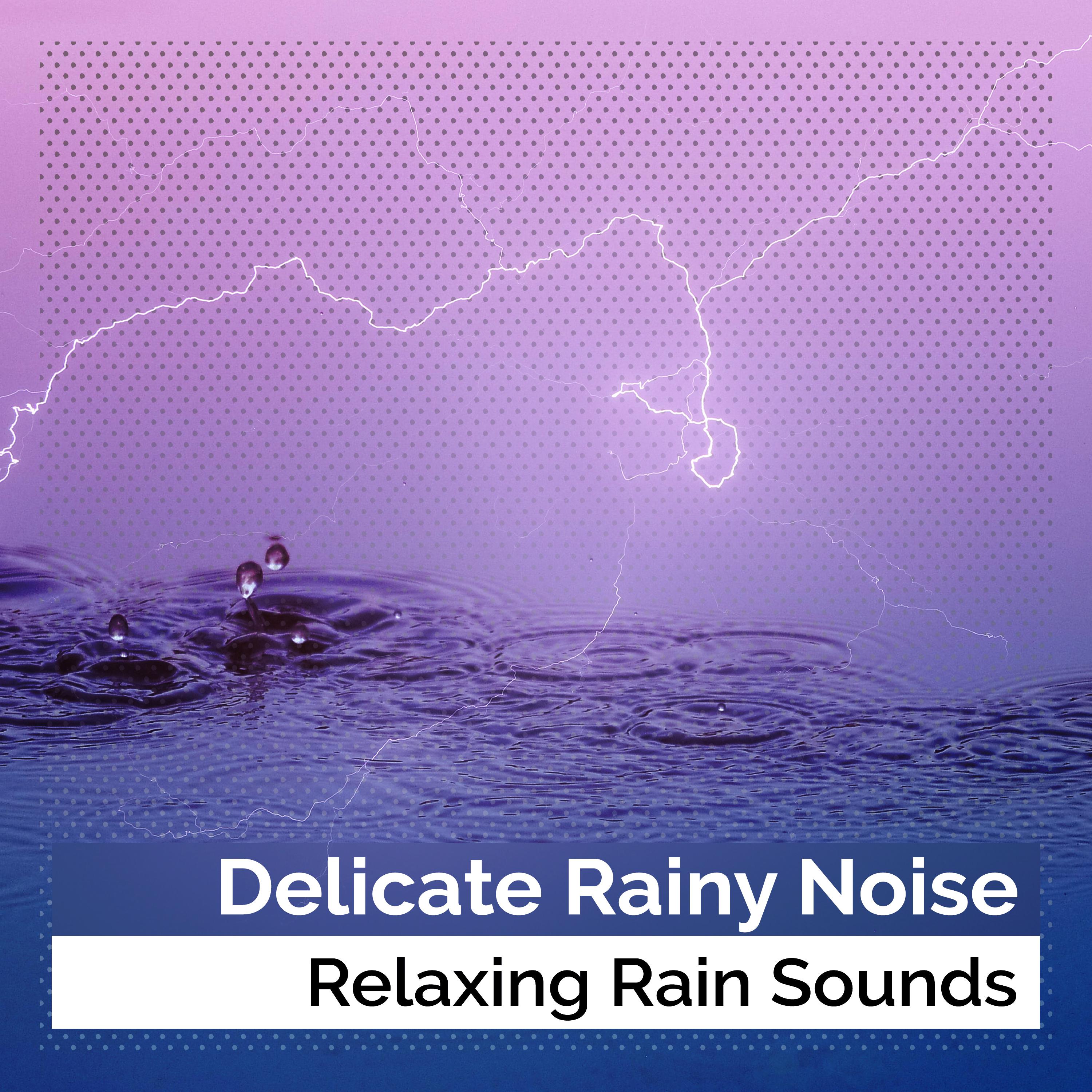 Delicate Rainy Noise