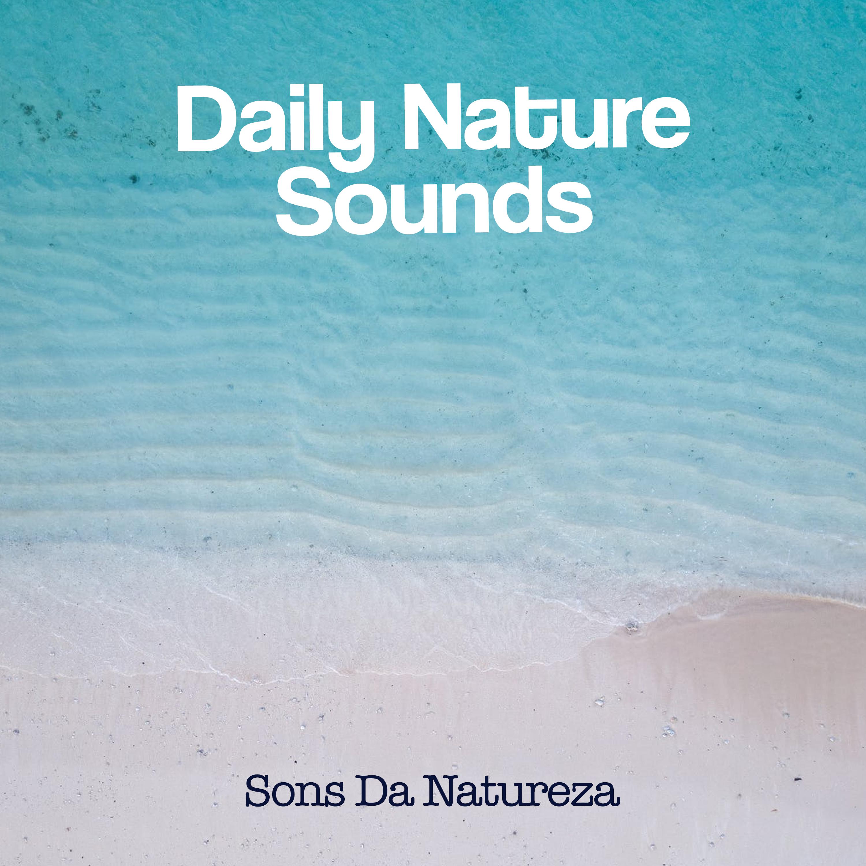 Daily Nature Sounds